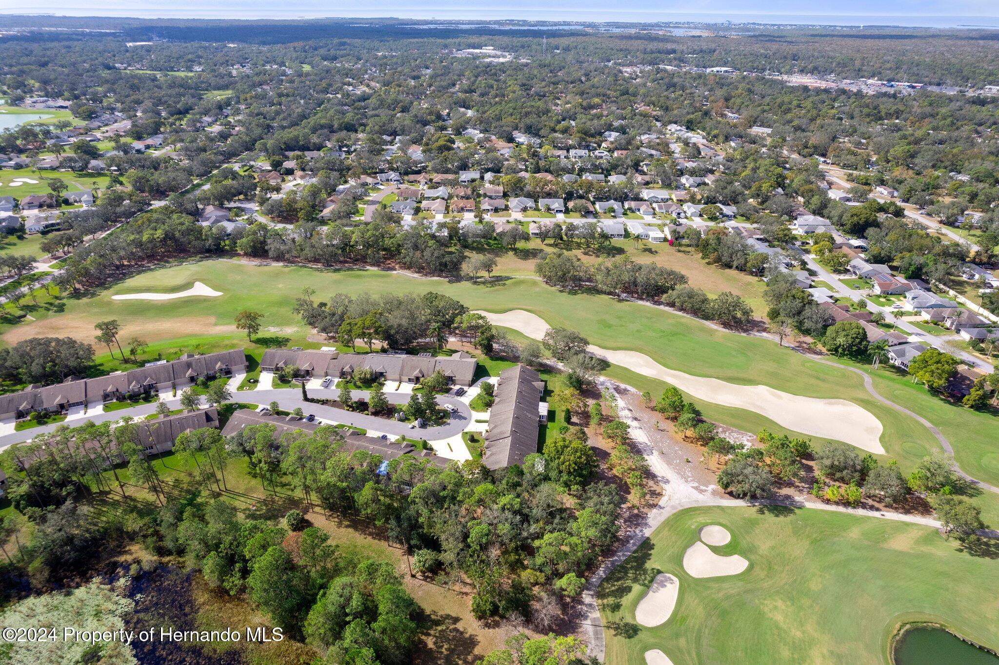 3160 Whispering Pines Court, Spring Hill, Florida image 37