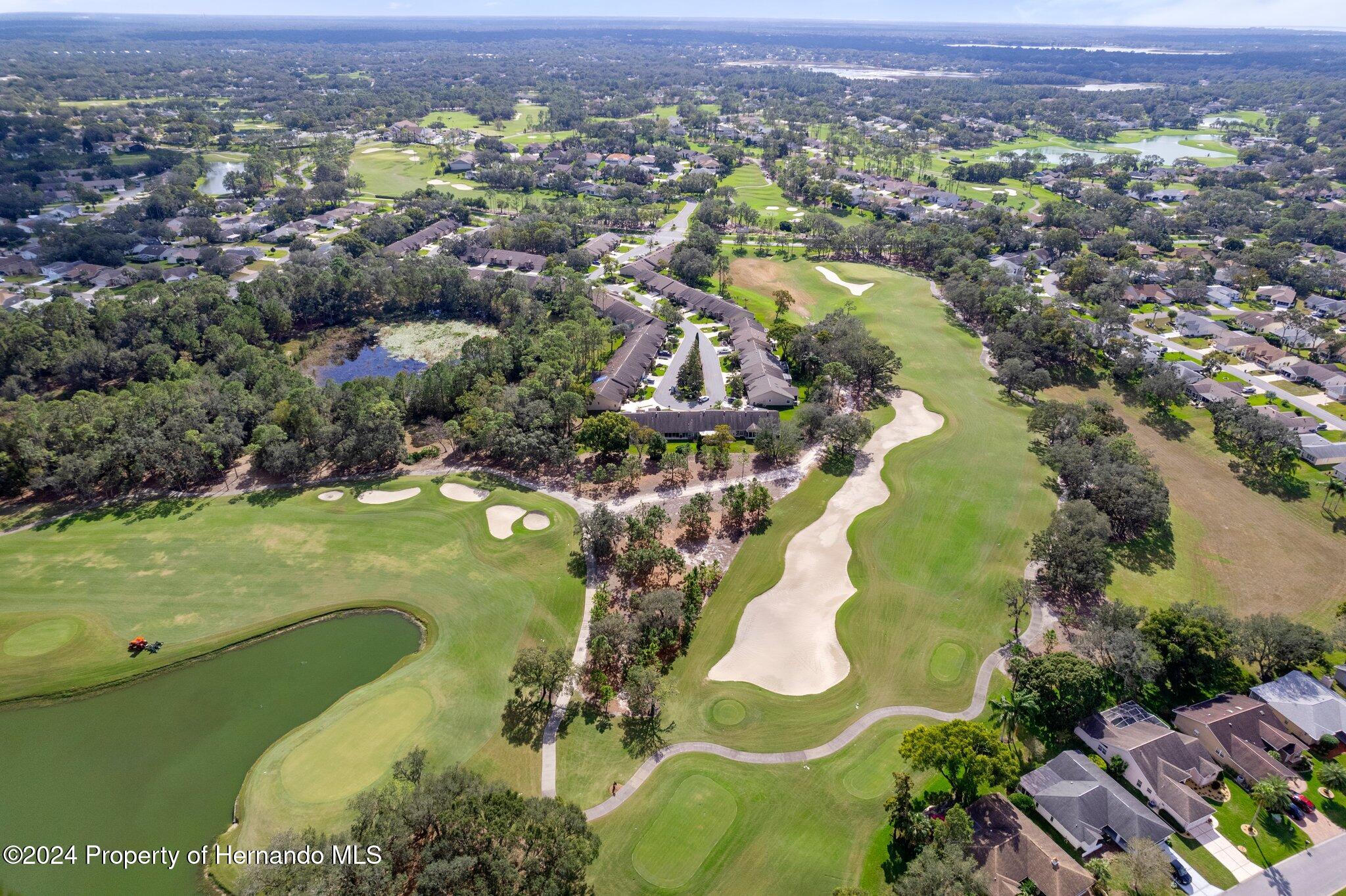 3160 Whispering Pines Court, Spring Hill, Florida image 36