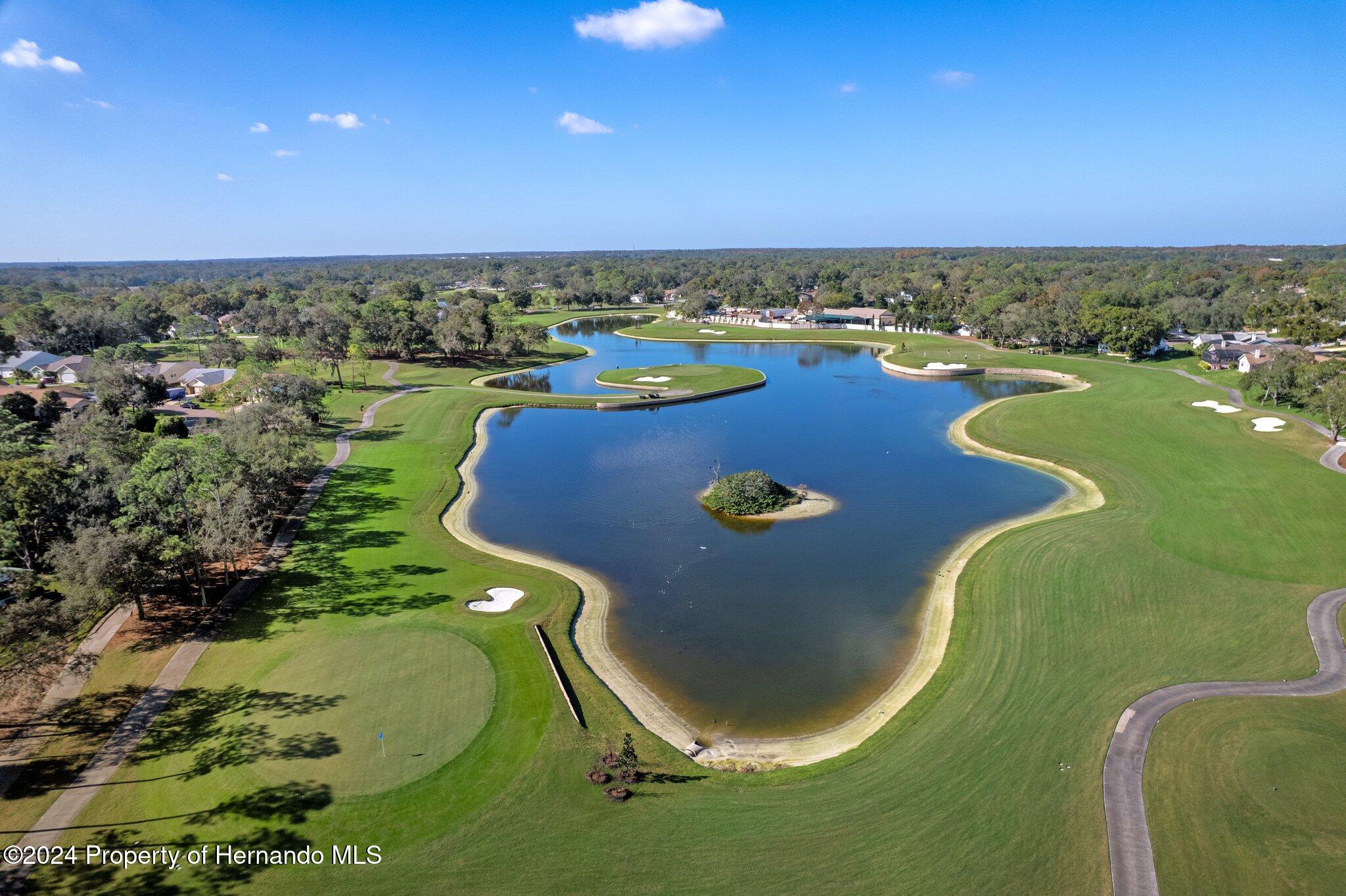 3160 Whispering Pines Court, Spring Hill, Florida image 42