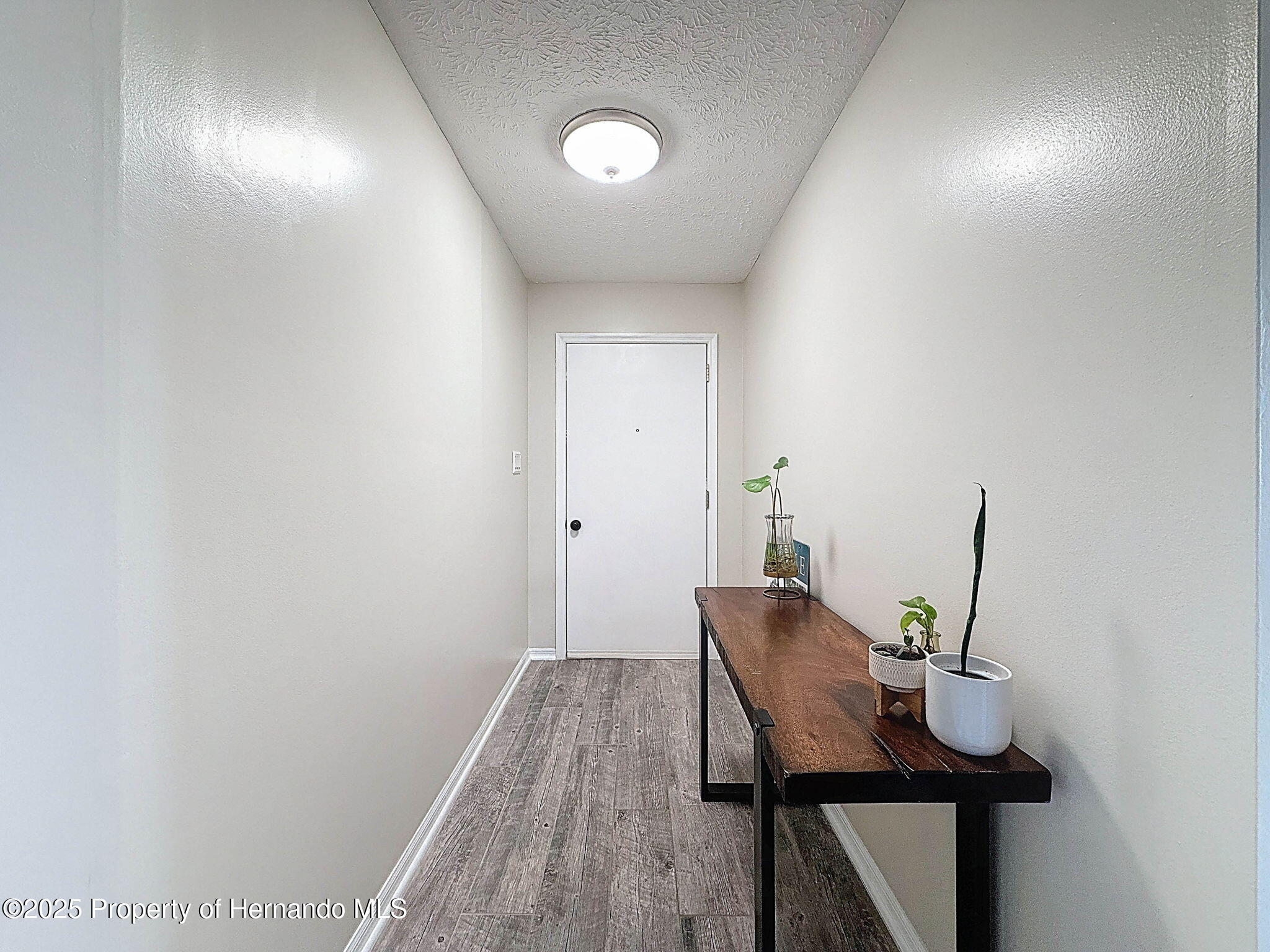 2485 Commerce Avenue, Spring Hill, Florida image 5