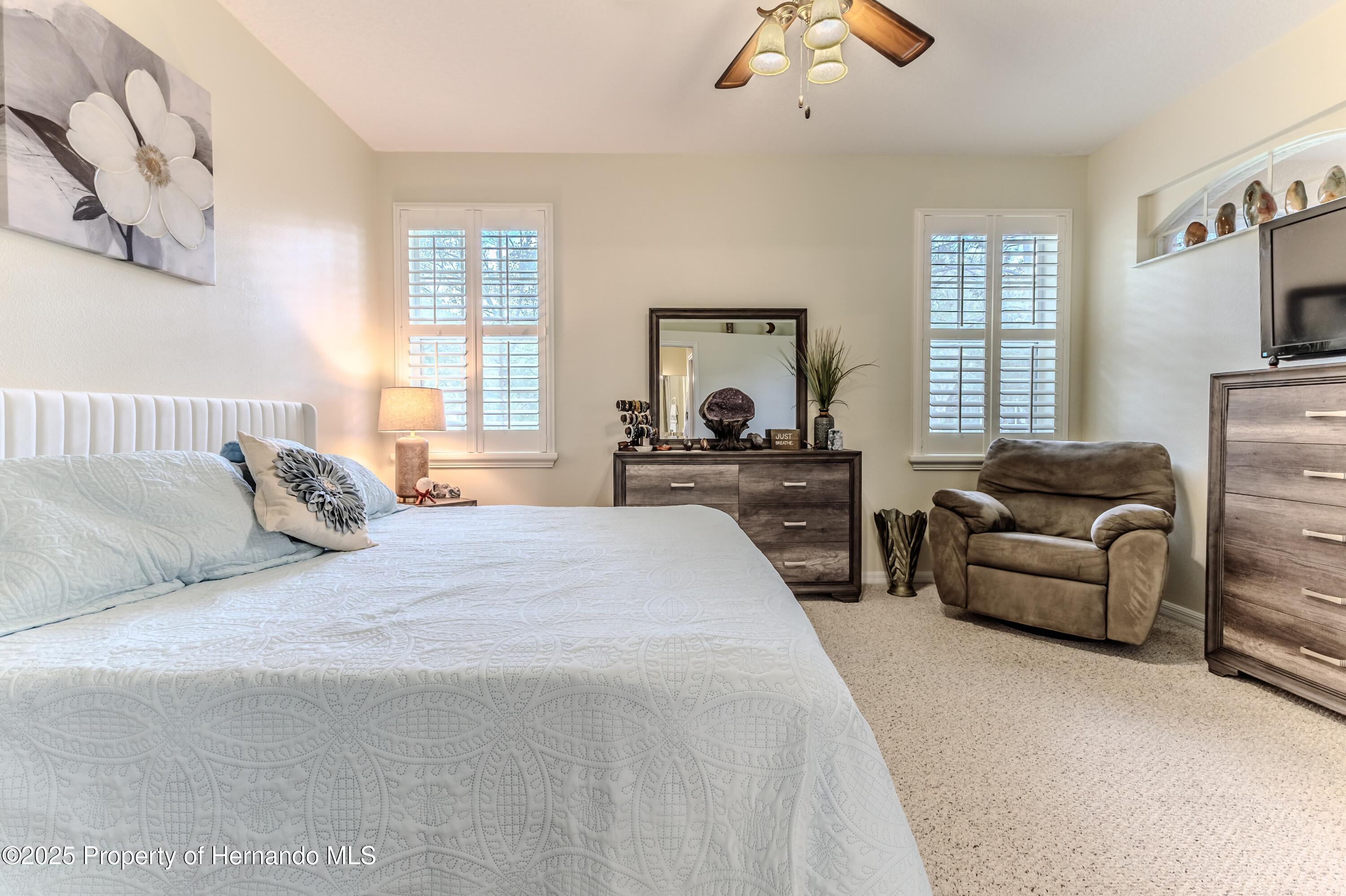 4179 Silver Fox Dr, Spring Hill, Florida image 39