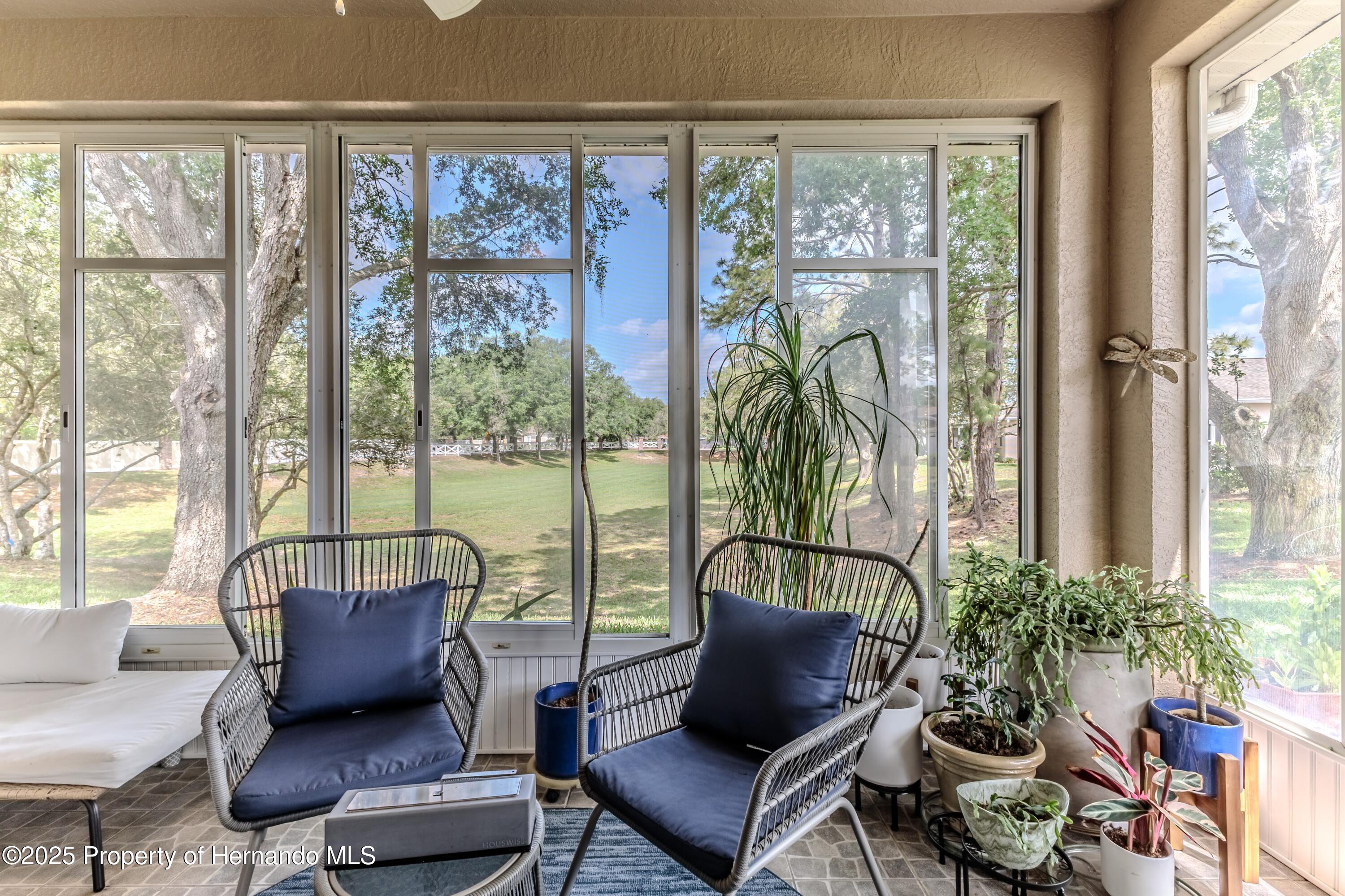 4179 Silver Fox Dr, Spring Hill, Florida image 45