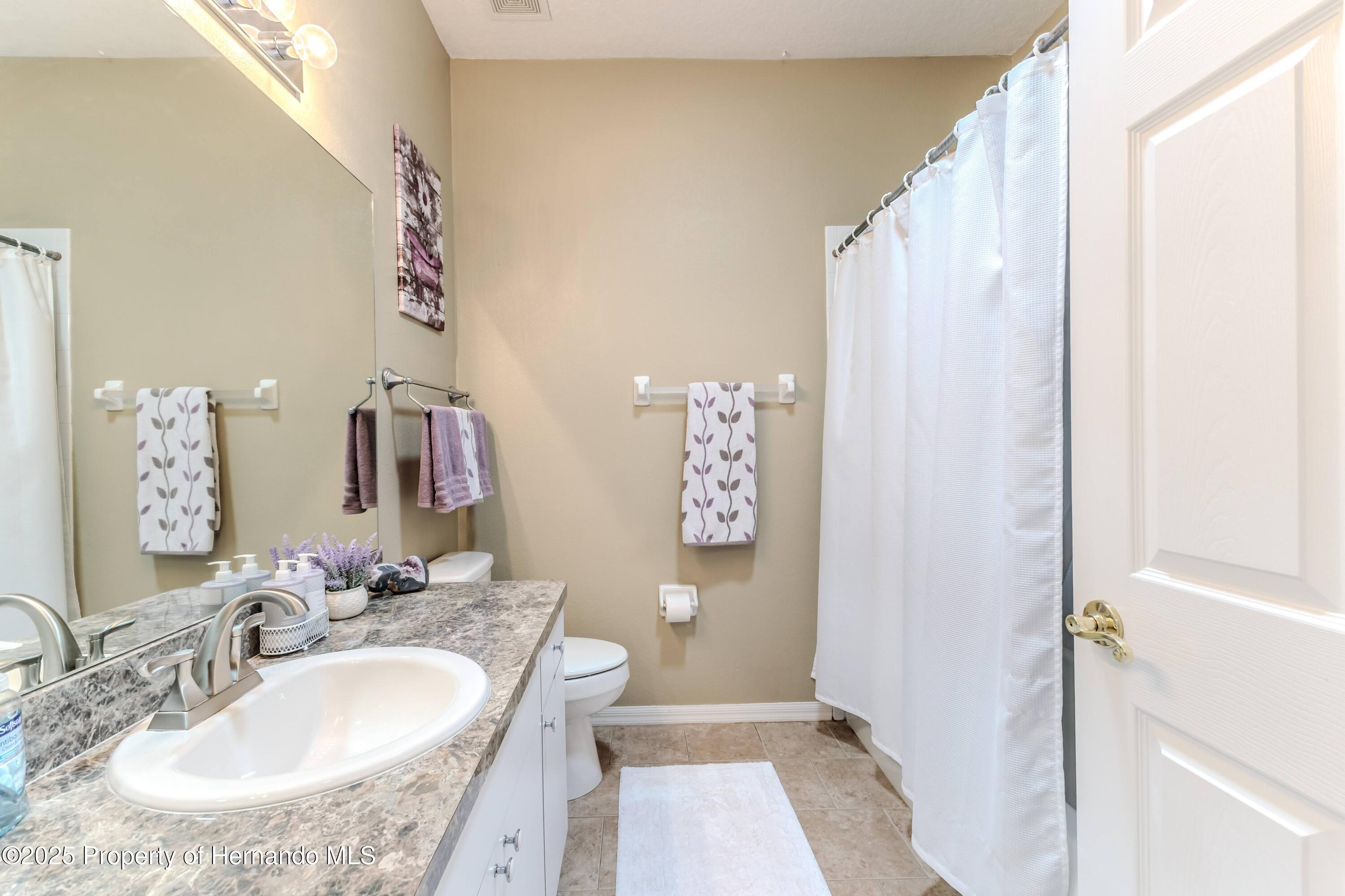 4179 Silver Fox Dr, Spring Hill, Florida image 30