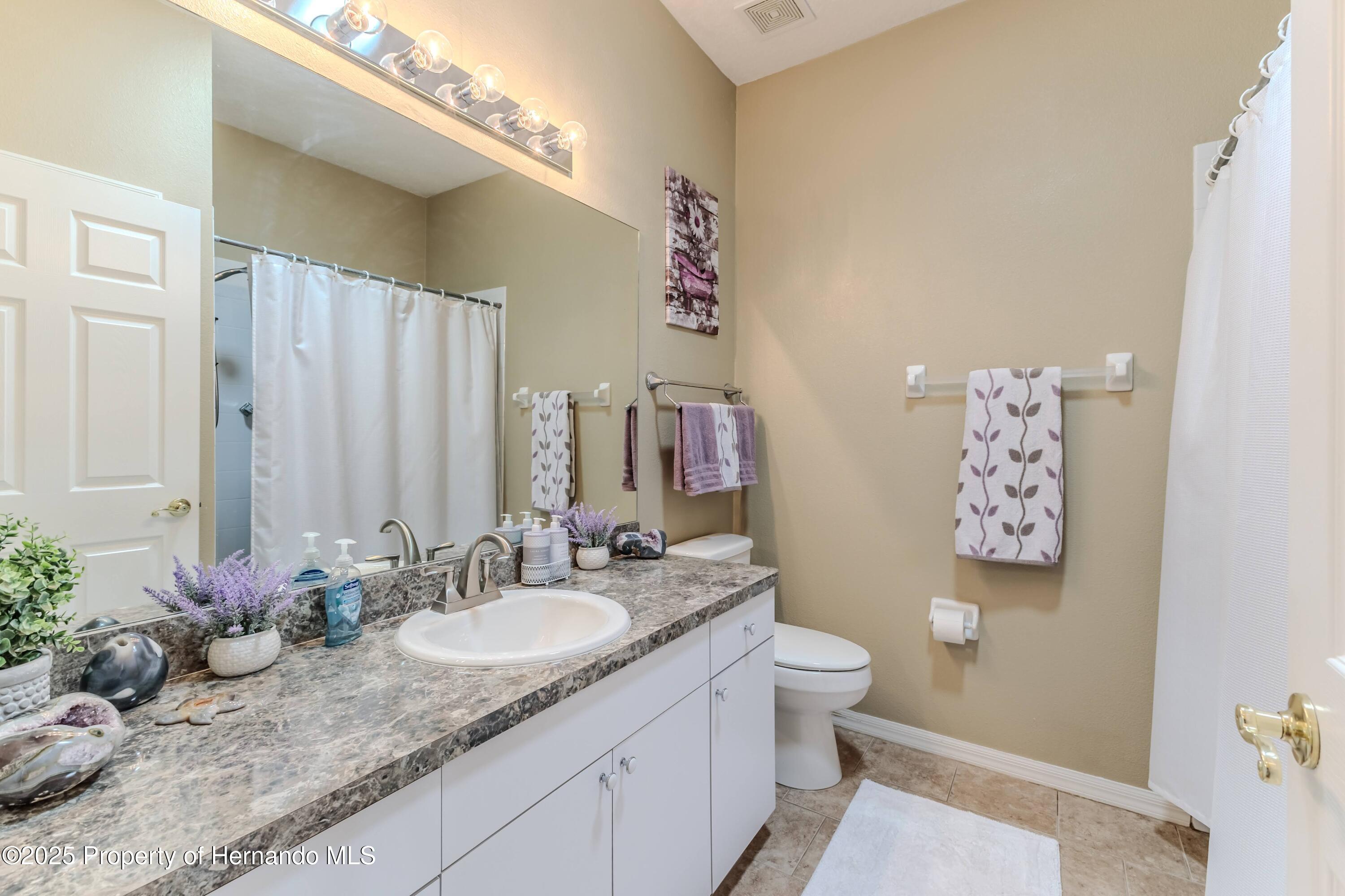 4179 Silver Fox Dr, Spring Hill, Florida image 29