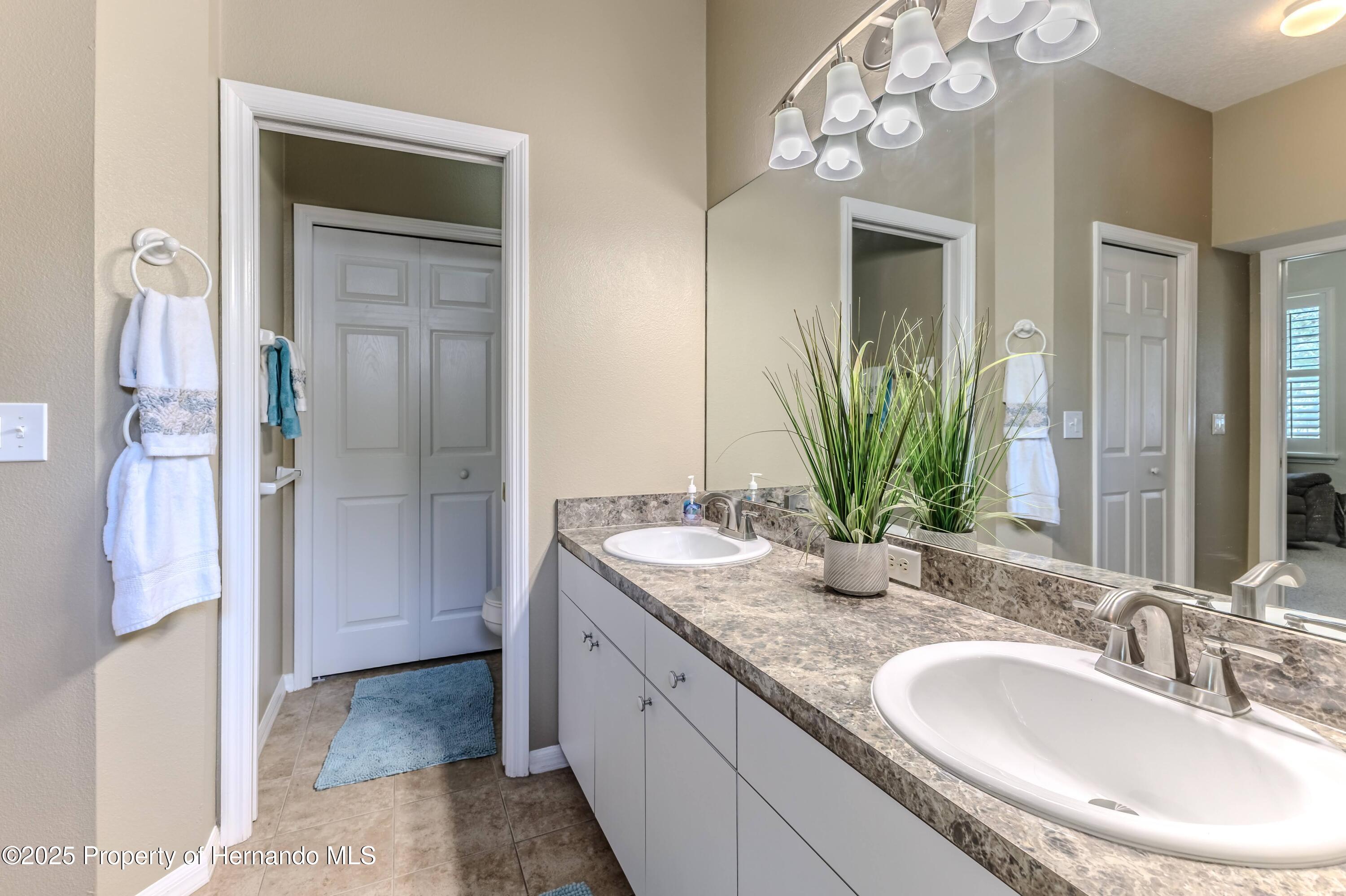 4179 Silver Fox Dr, Spring Hill, Florida image 42