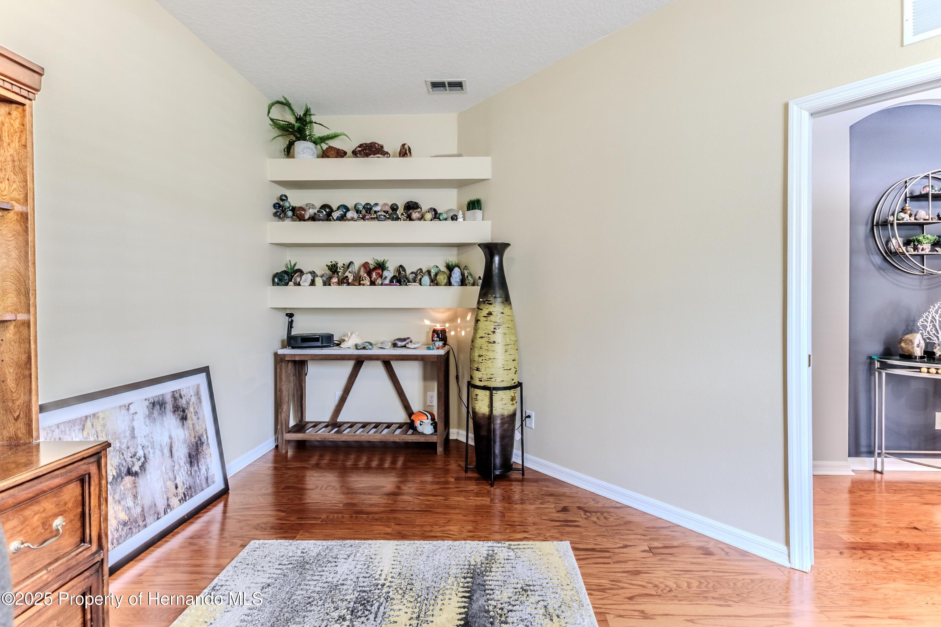 4179 Silver Fox Dr, Spring Hill, Florida image 11