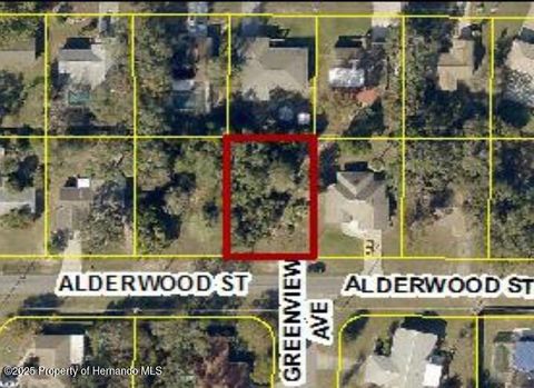 Vacant Land For Sale - Alderwood Street<br/> Spring Hill, FL 34606