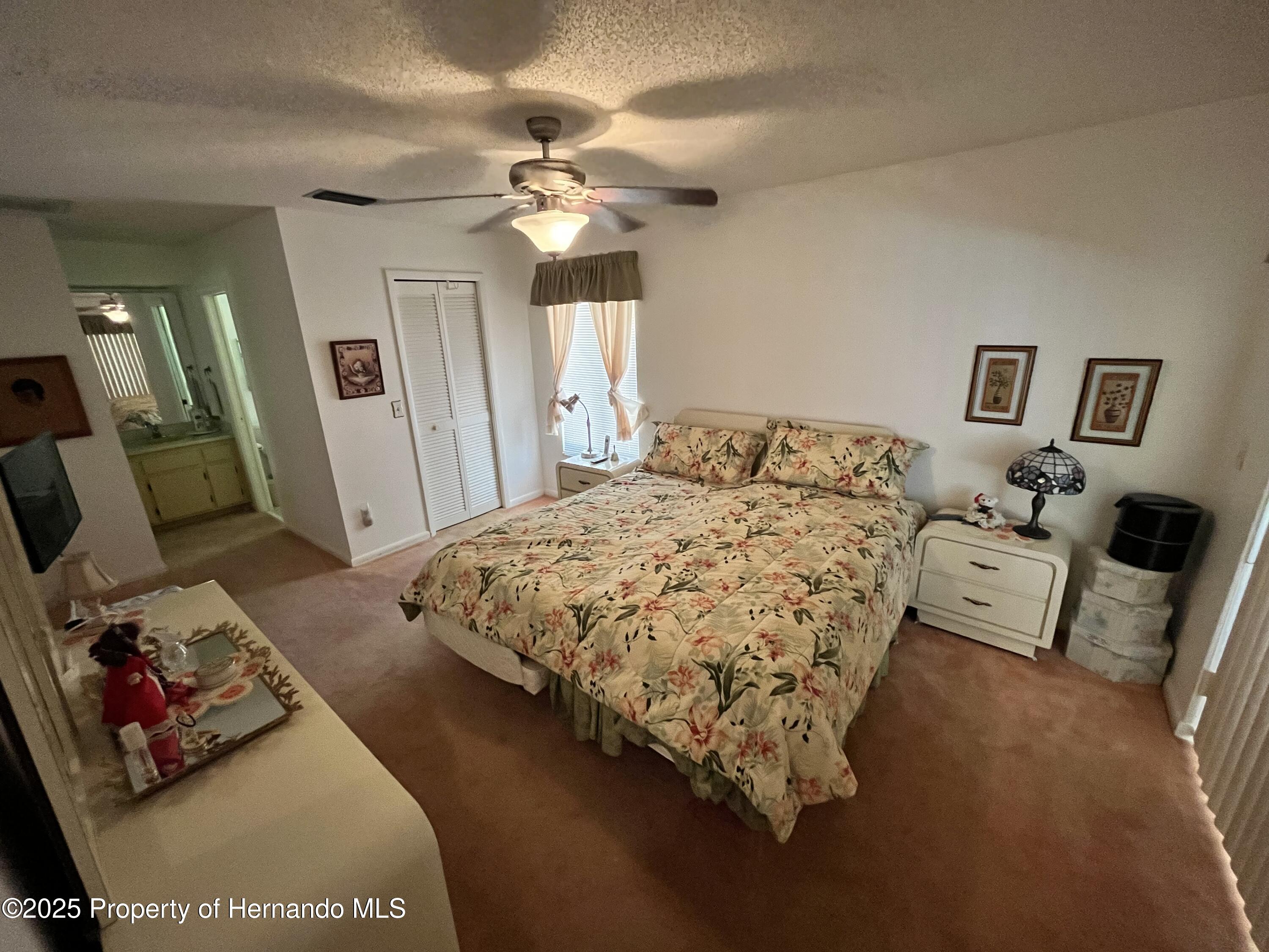 2002 Deborah Drive, Spring Hill, Florida image 12