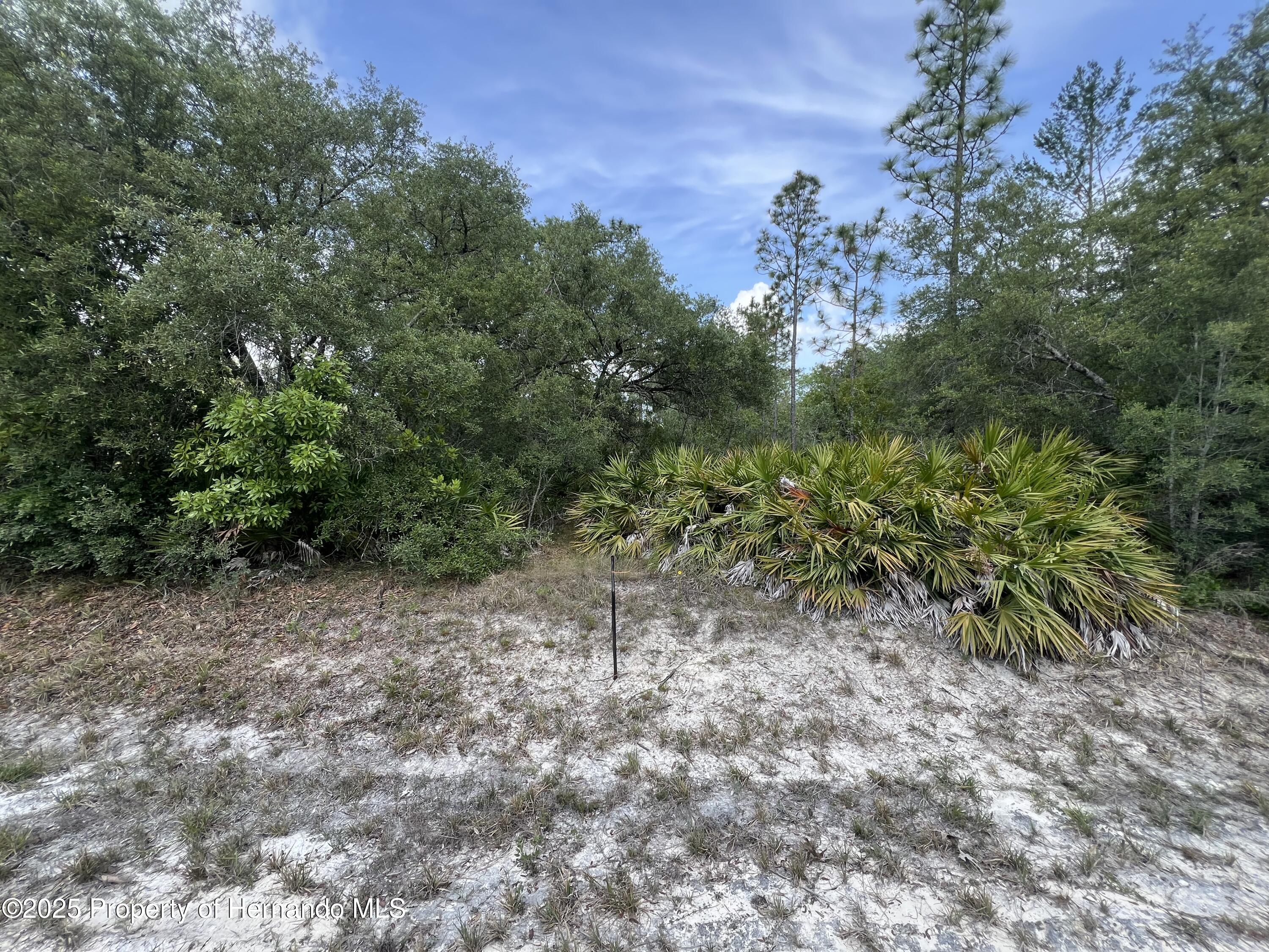 18167 Parakeet Road, Weeki Wachee, Florida image 1