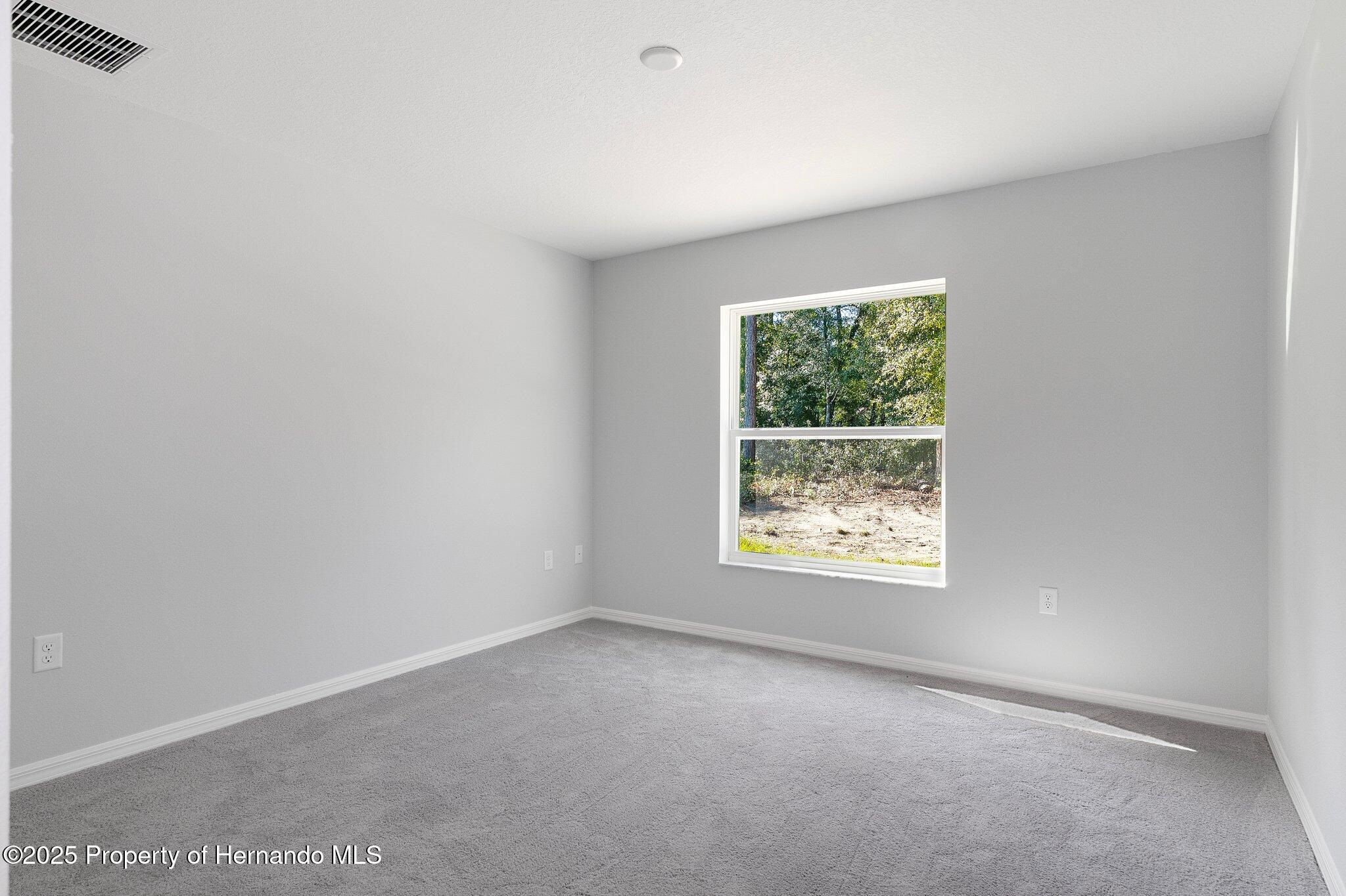 11388 Paramount Avenue, Weeki Wachee, Florida image 29
