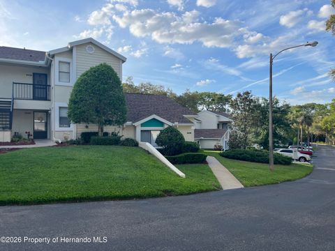 9430 Nakoma Way Weeki Wachee FL 34613