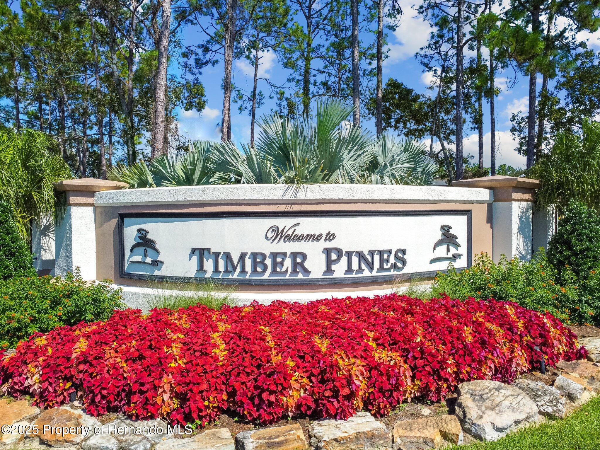2183 Westchester Boulevard, Spring Hill, Florida image 38