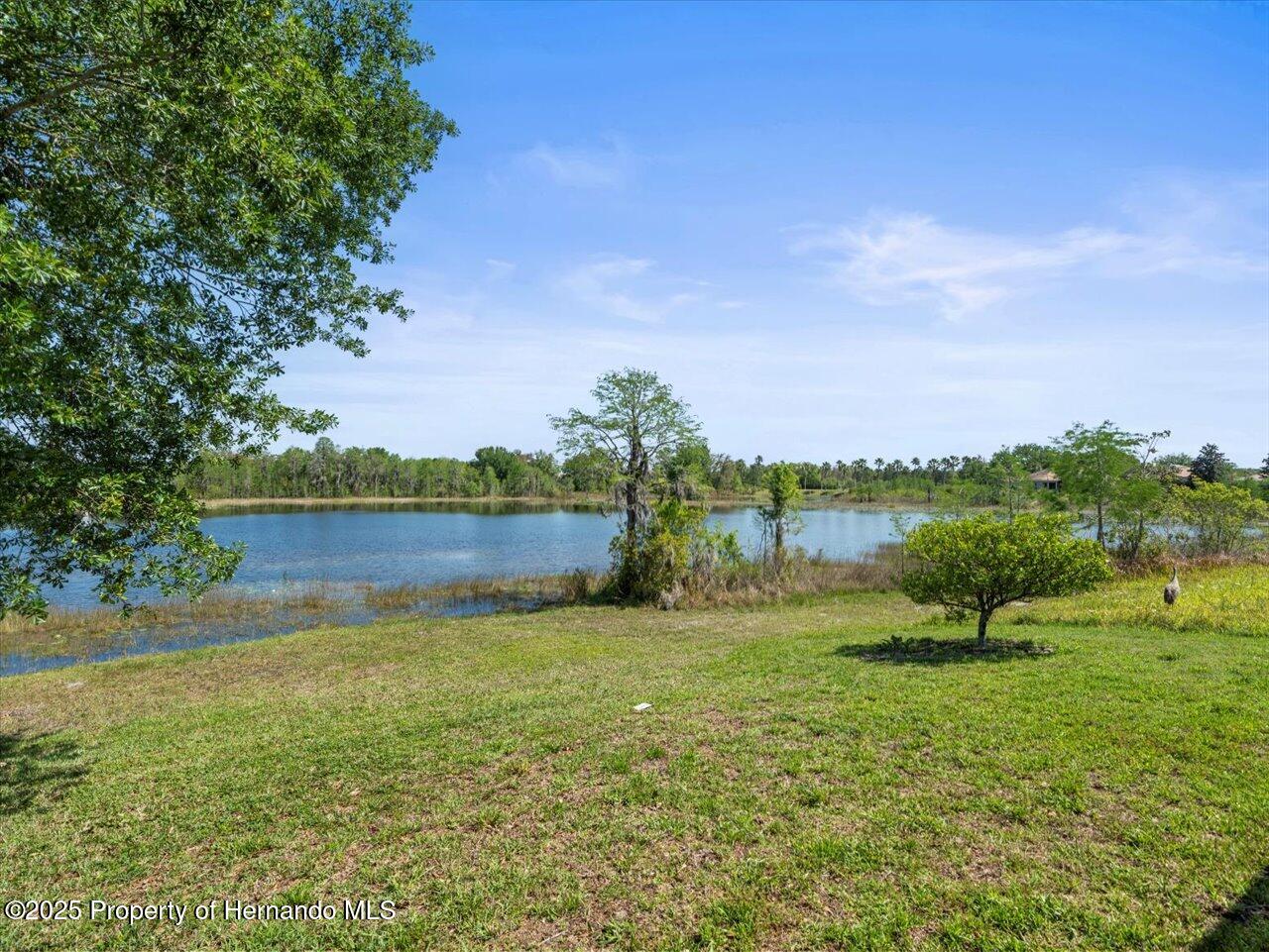 9159 Trevino Drive, Weeki Wachee, Florida image 40