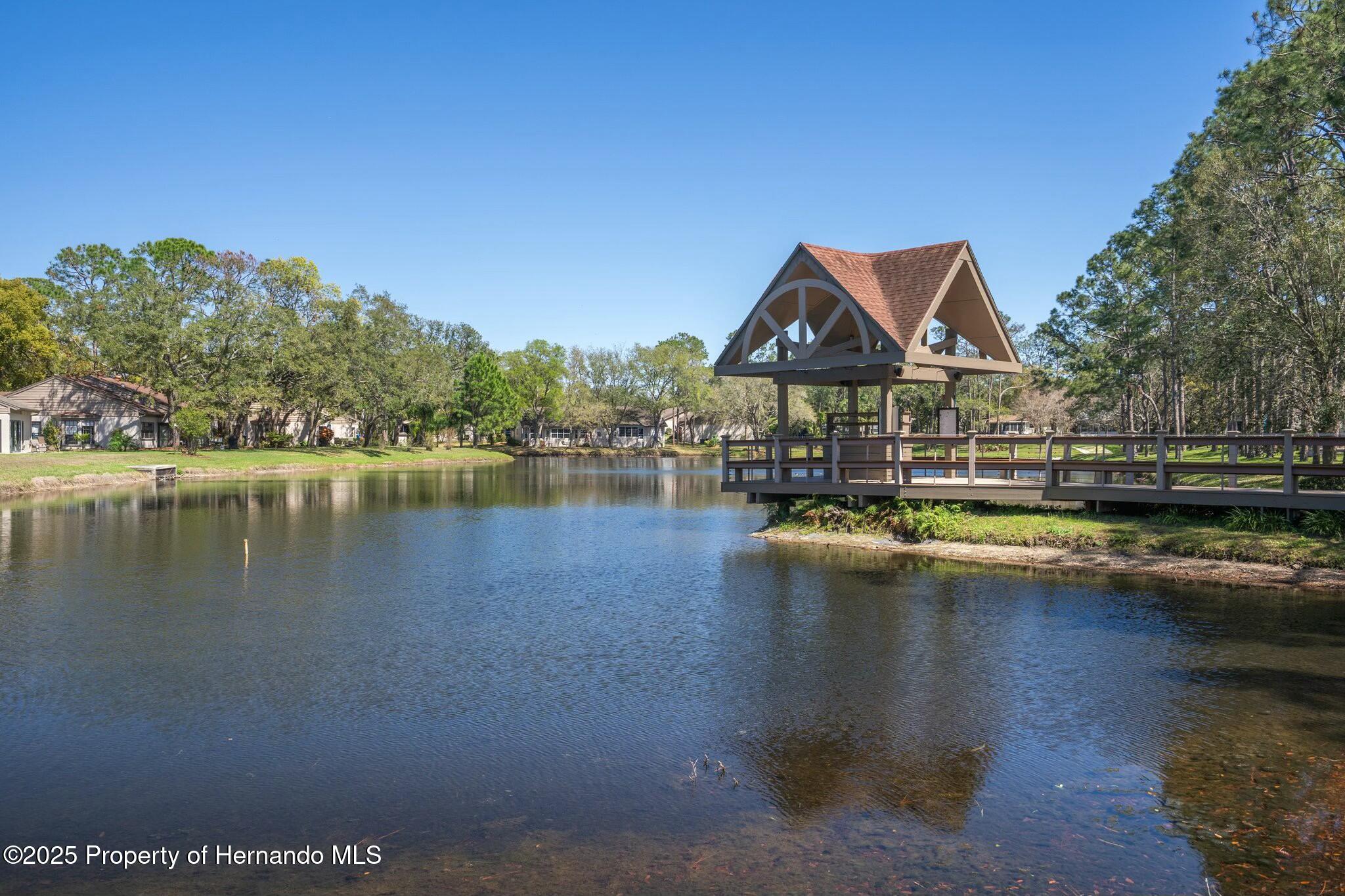6735 Oak Cluster Circle, Spring Hill, Florida image 35