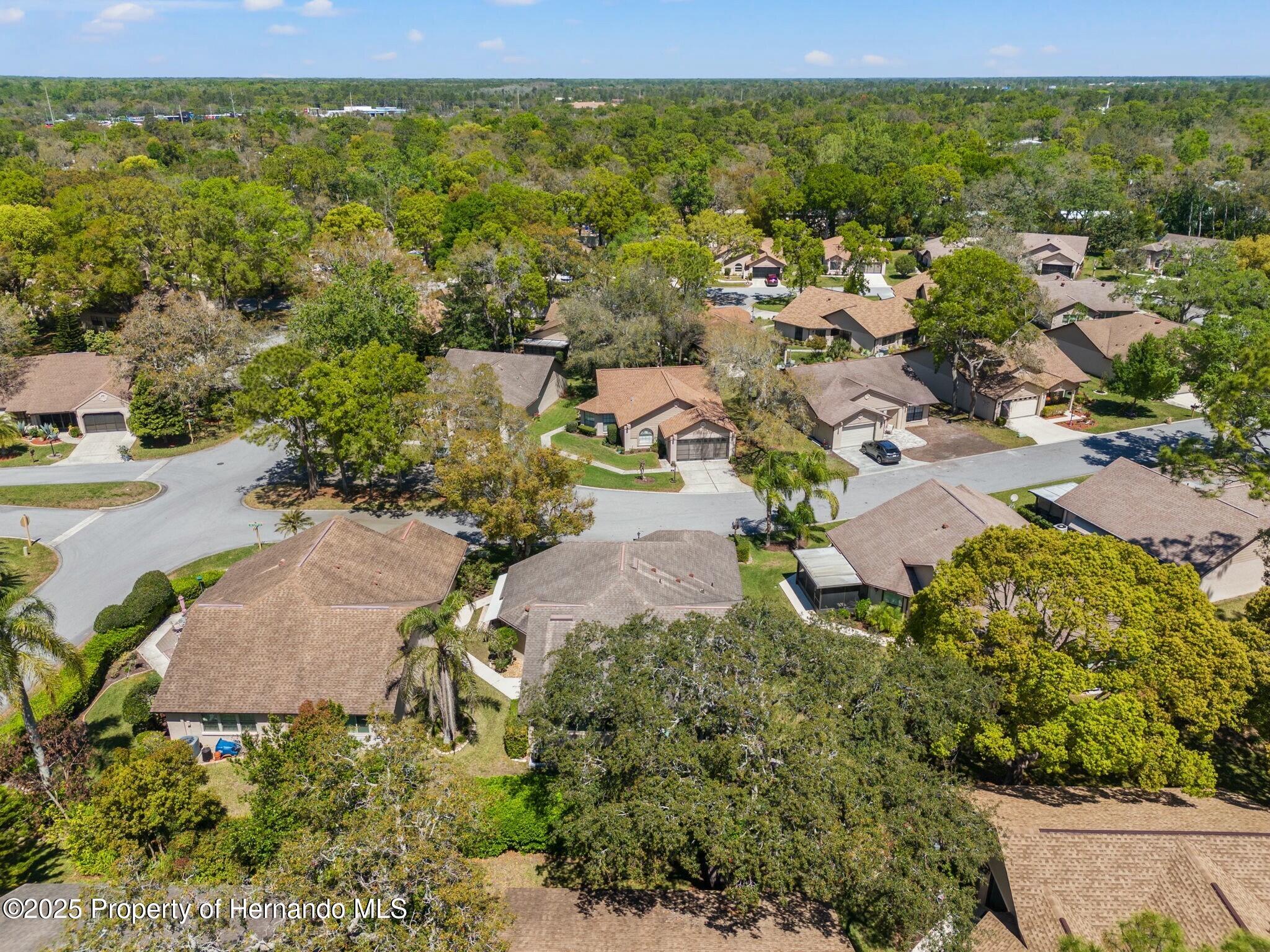 6735 Oak Cluster Circle, Spring Hill, Florida image 29