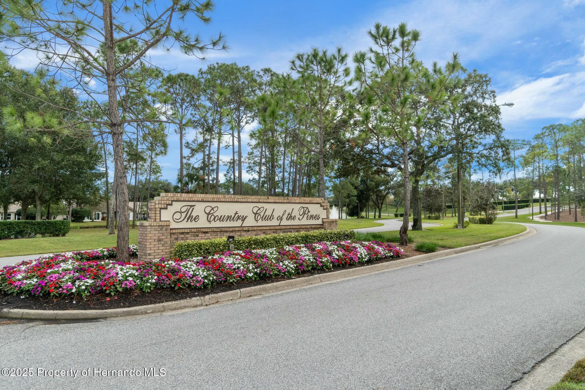 6735 Oak Cluster Circle, Spring Hill, Florida image 43