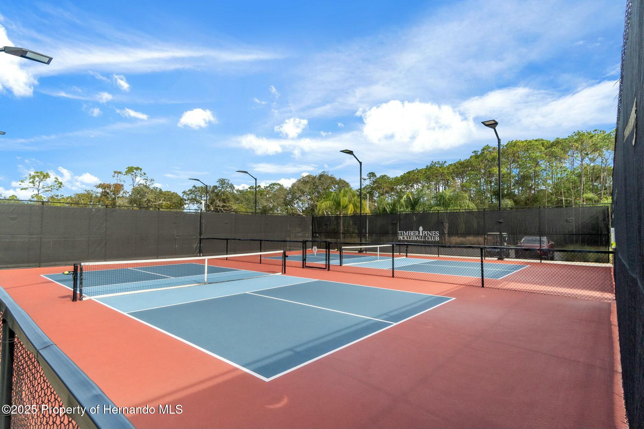 6735 Oak Cluster Circle, Spring Hill, Florida image 41