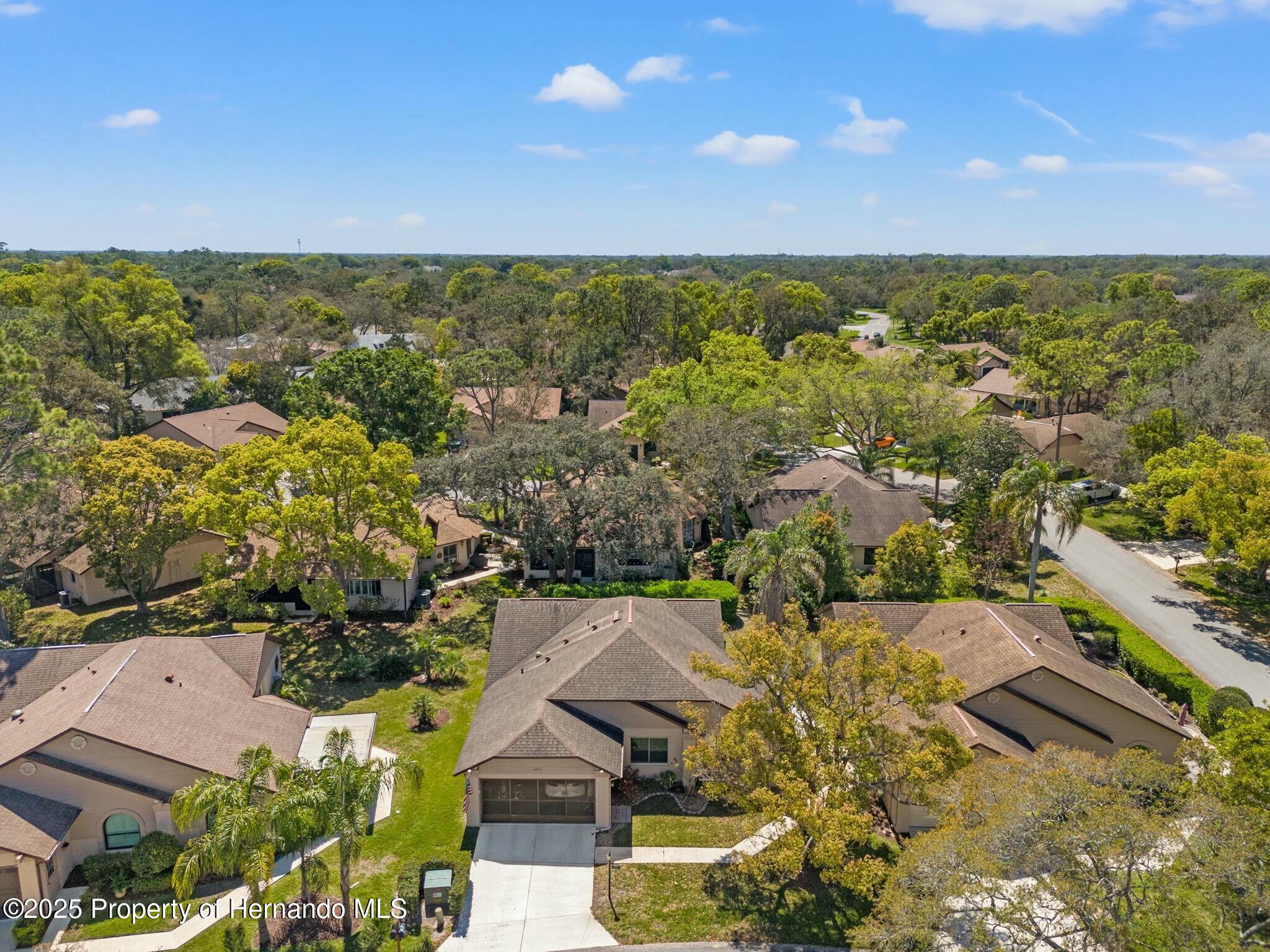 6735 Oak Cluster Circle, Spring Hill, Florida image 28
