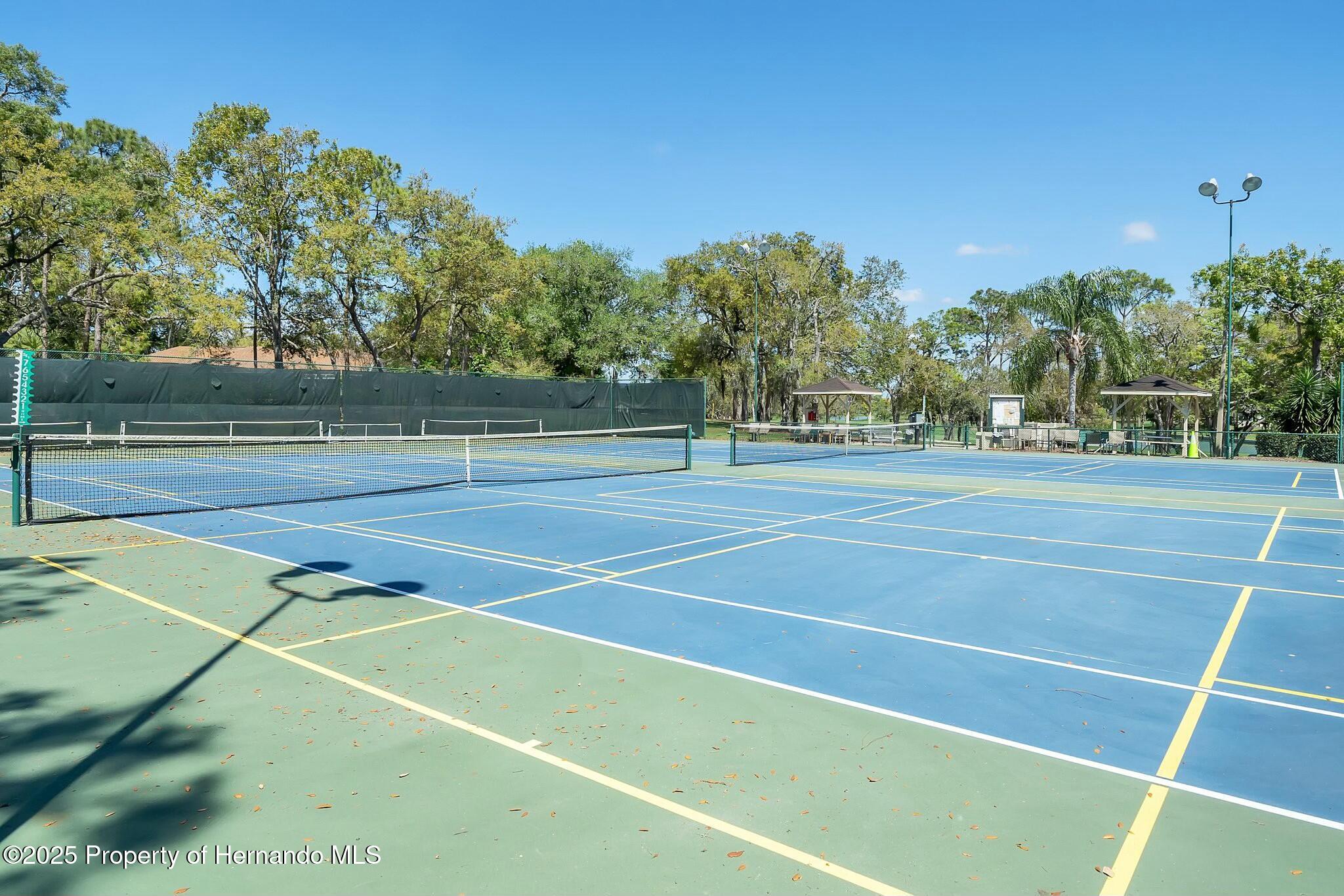 6735 Oak Cluster Circle, Spring Hill, Florida image 36