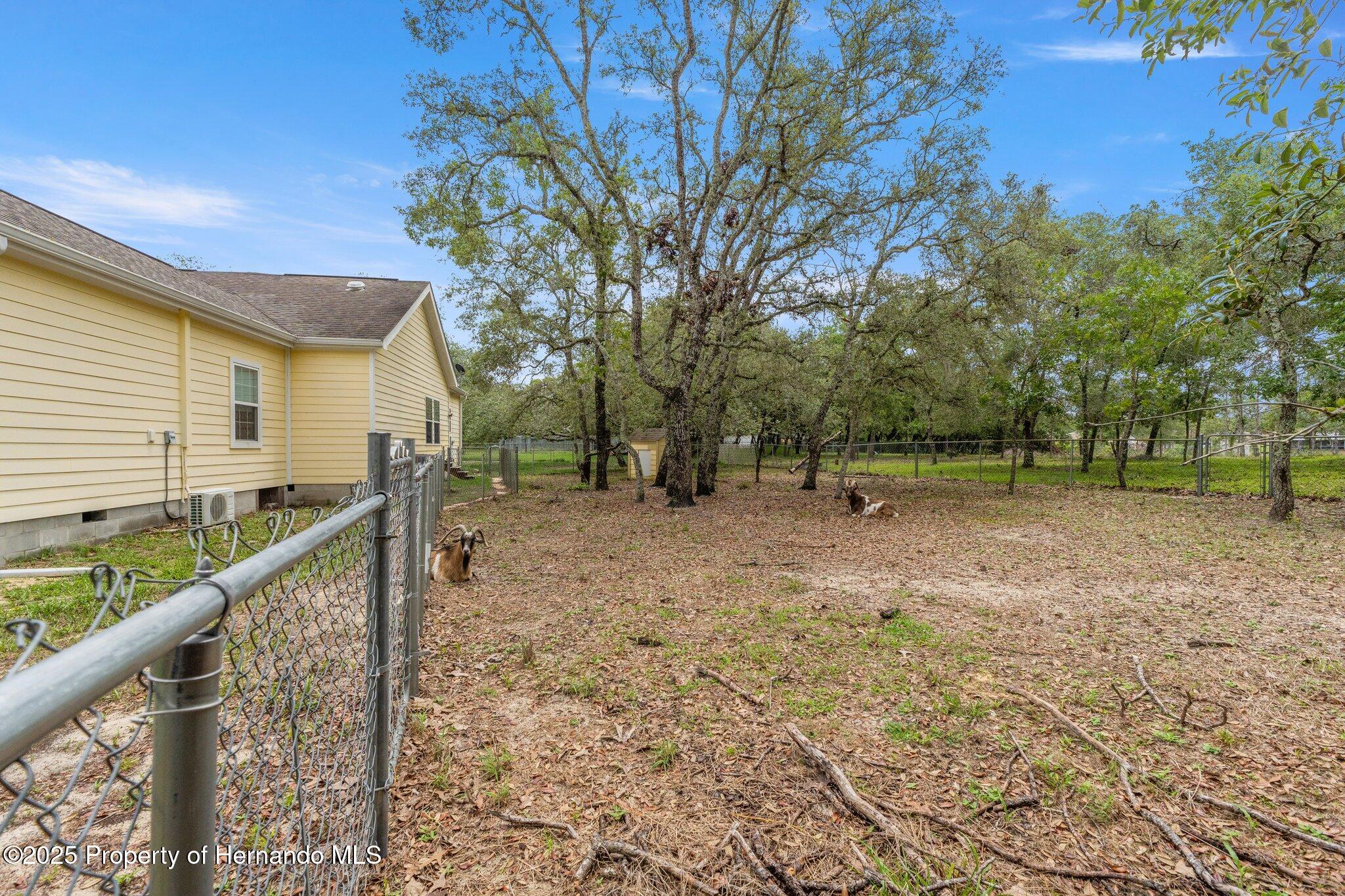 12253 Eskimo Curlew Road, Brooksville, Florida image 47