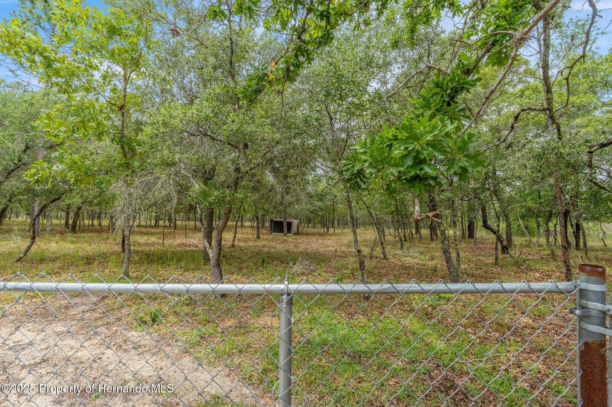 12253 Eskimo Curlew Road, Brooksville, Florida image 46