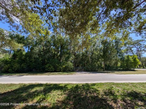 Vacant Land For Sale - Jackson Avenue<br/> Brooksville, FL 34604