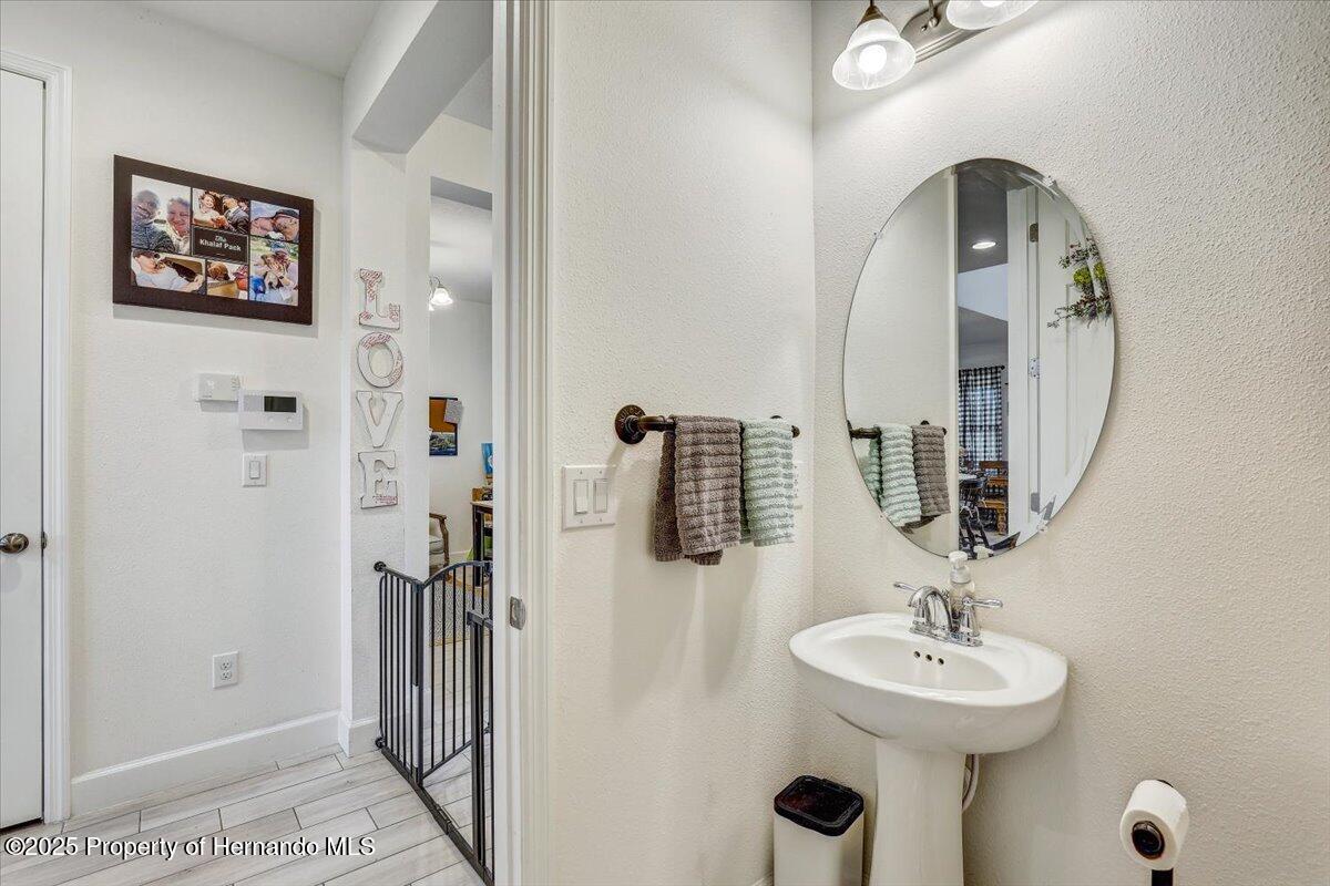 34159 Astoria Circle, Wesley Chapel, Florida image 19