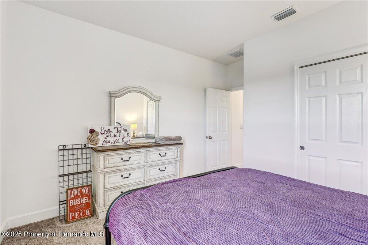 34159 Astoria Circle, Wesley Chapel, Florida image 30