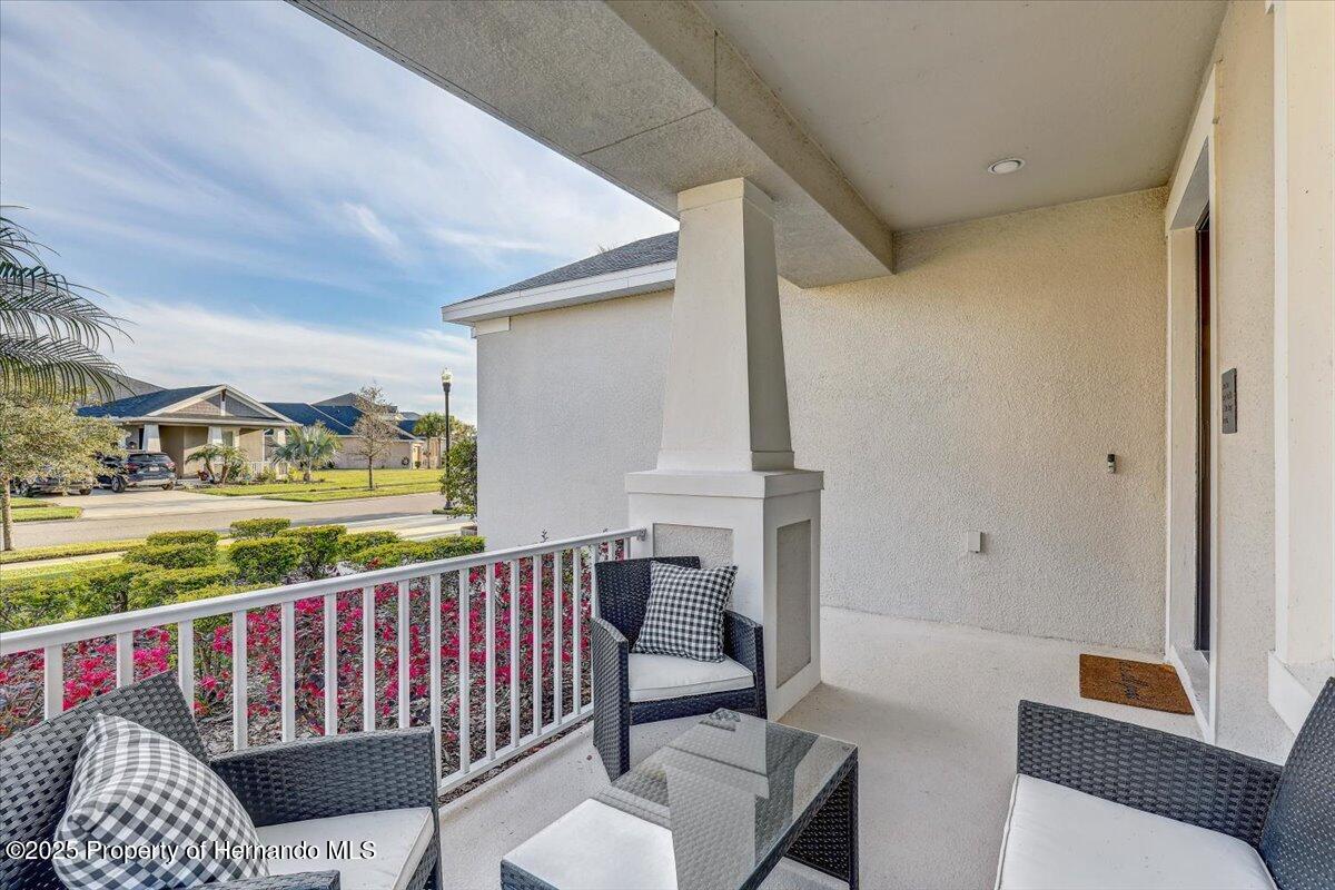 34159 Astoria Circle, Wesley Chapel, Florida image 5