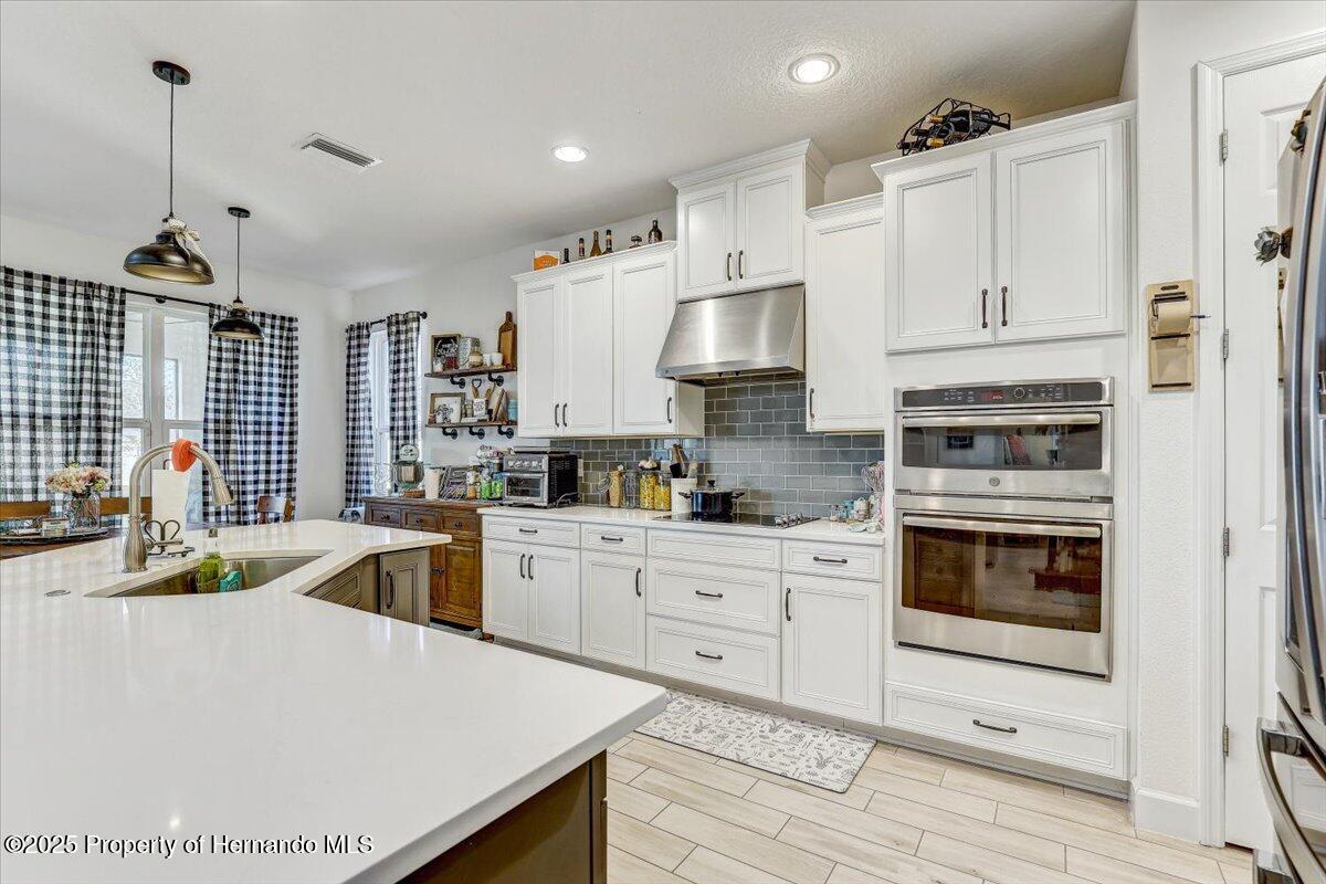 34159 Astoria Circle, Wesley Chapel, Florida image 13