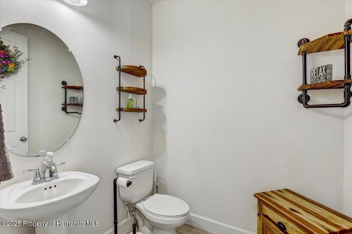 34159 Astoria Circle, Wesley Chapel, Florida image 18