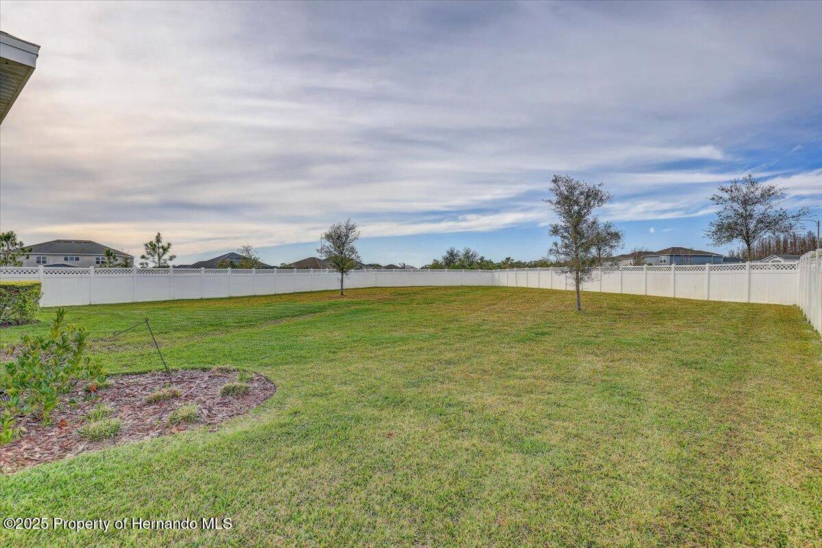 34159 Astoria Circle, Wesley Chapel, Florida image 44