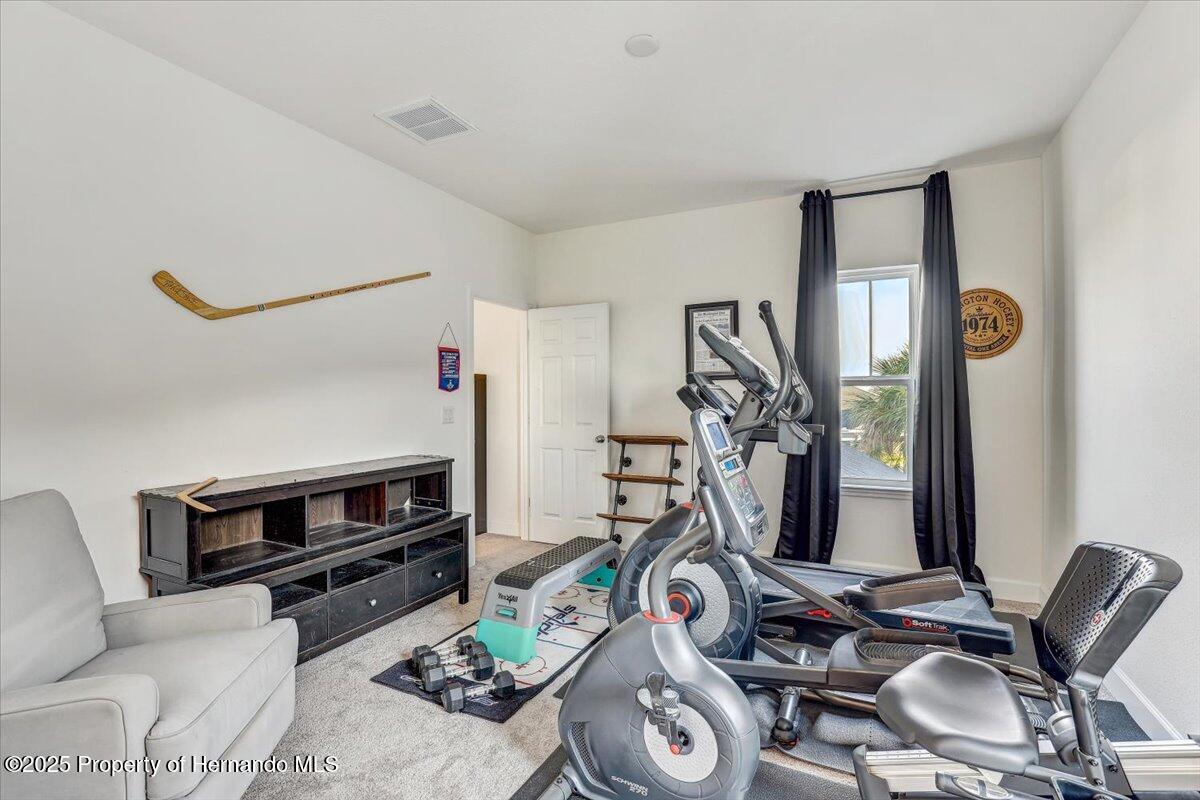 34159 Astoria Circle, Wesley Chapel, Florida image 33