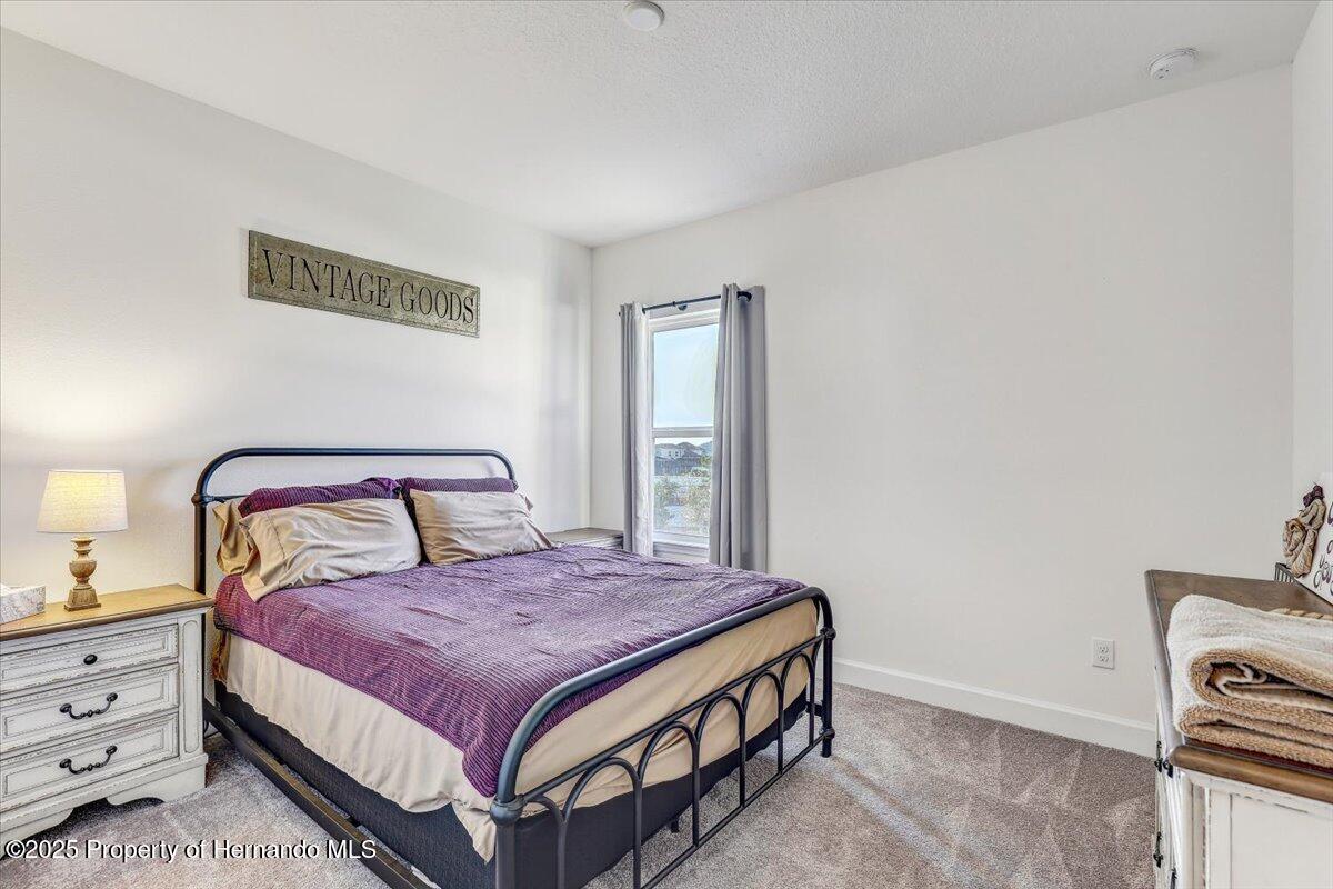 34159 Astoria Circle, Wesley Chapel, Florida image 29