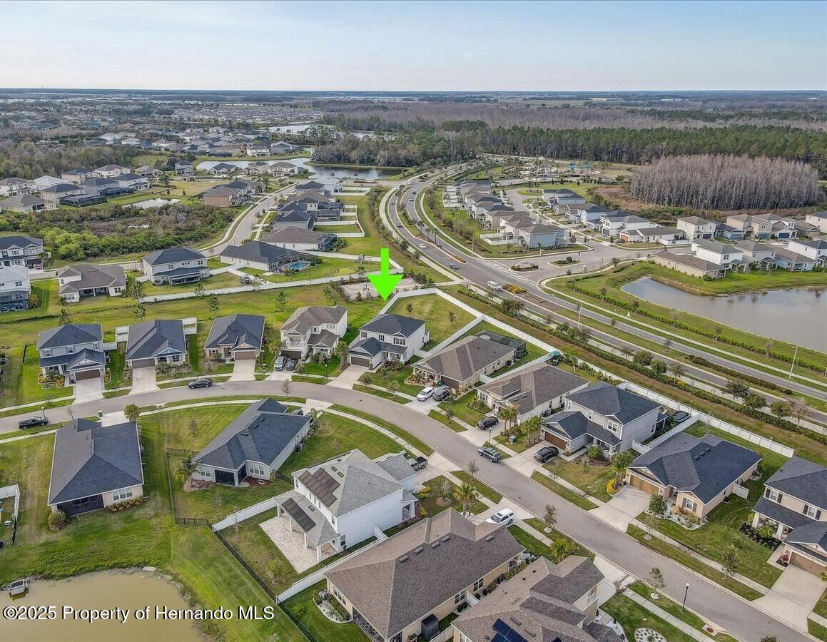 34159 Astoria Circle, Wesley Chapel, Florida image 47