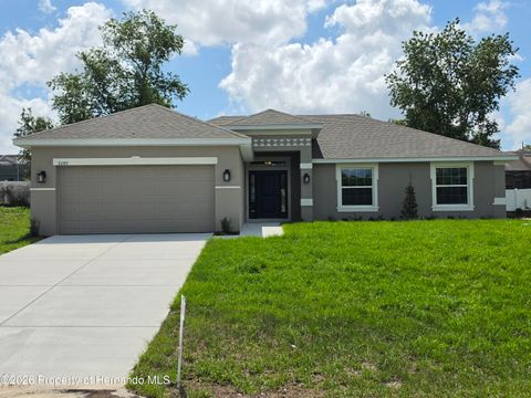 Homes For Sale - 5280 Colchester Avenue<br/> Spring Hill, FL 34608