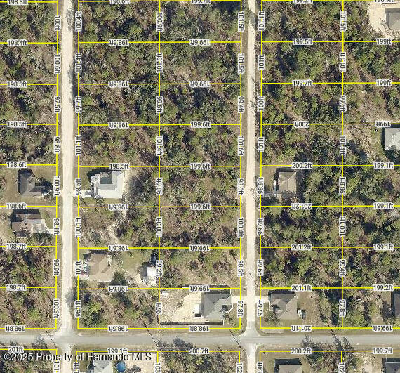 000 English Parrot Road, Brooksville, Florida image 1