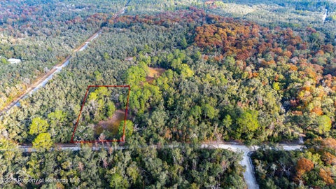 Vacant Land For Sale - Rose Bloom Lot 7 Avenue<br/> Webster, FL 33597