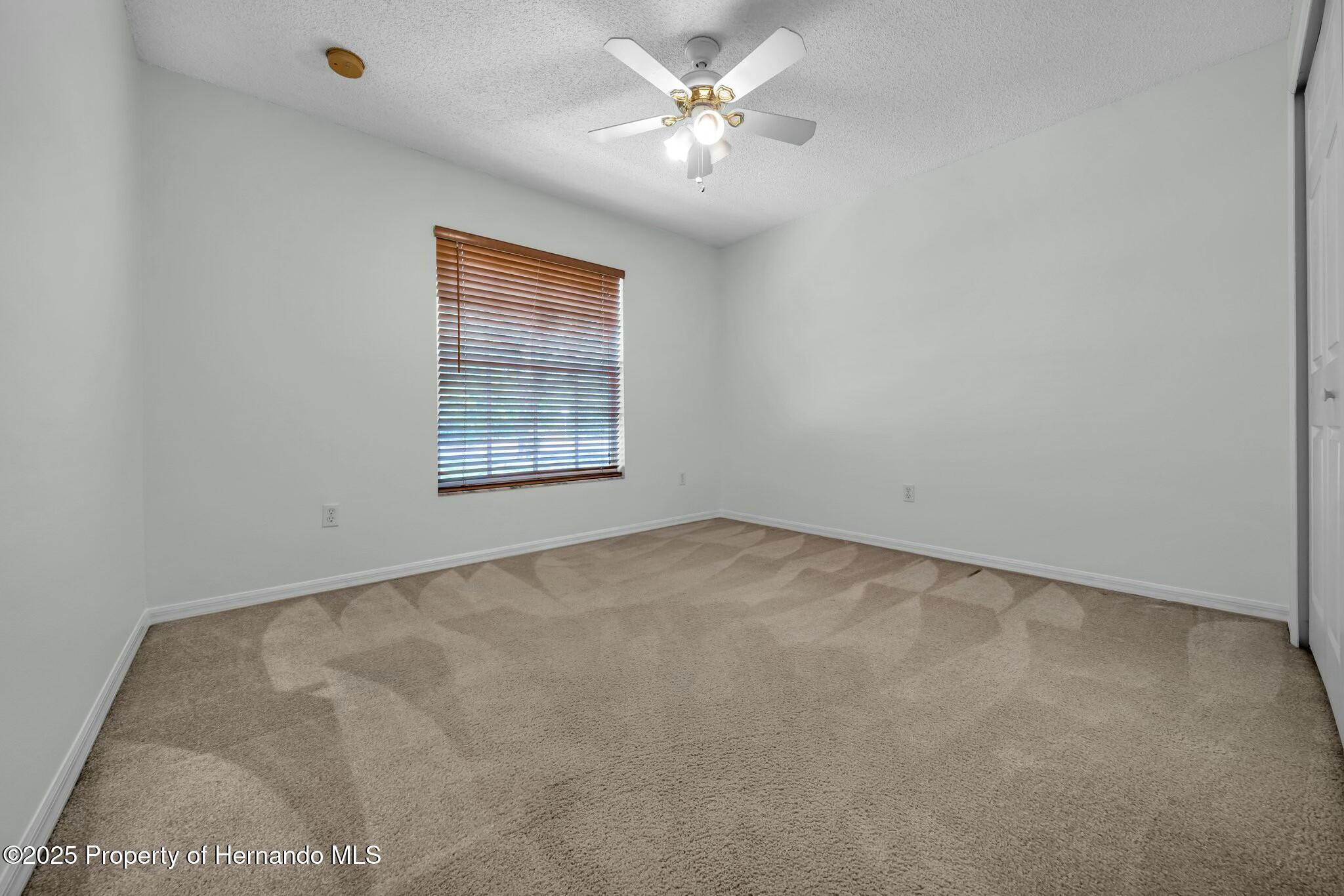 11344 Pickford Street, Spring Hill, Florida image 17