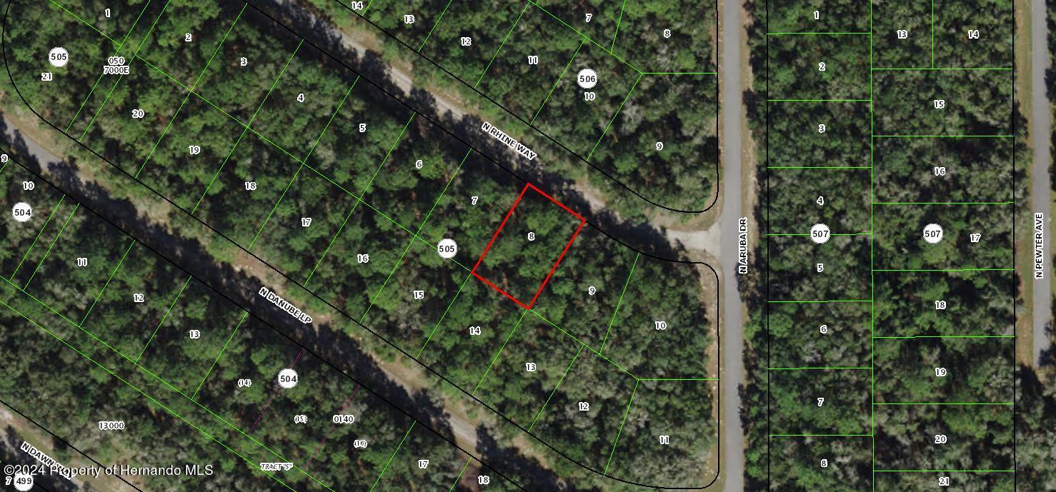9218 N Rhine Way, Citrus Springs, Florida image 1