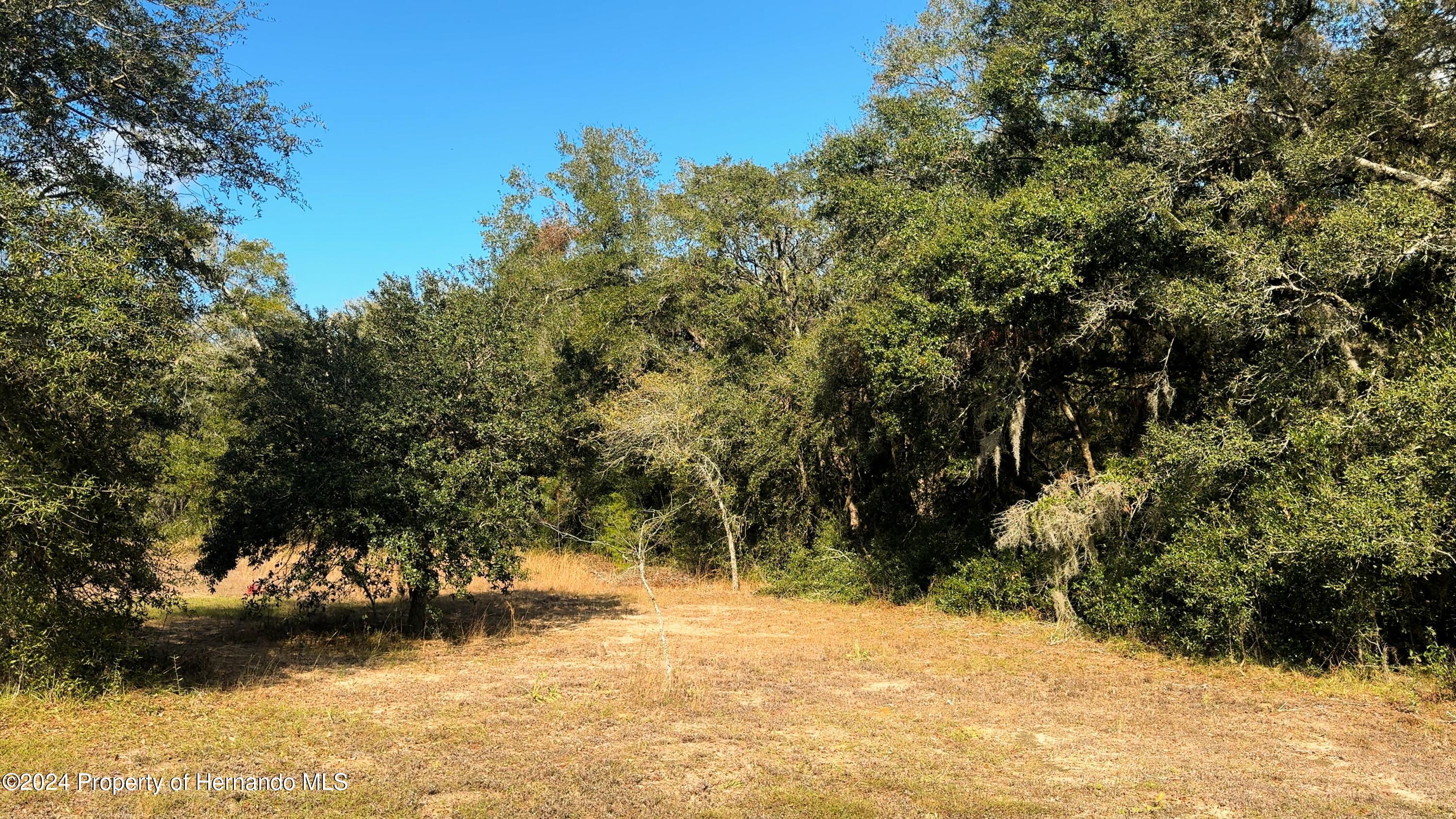 Nature Coast Boulevard, Brooksville, Florida image 8