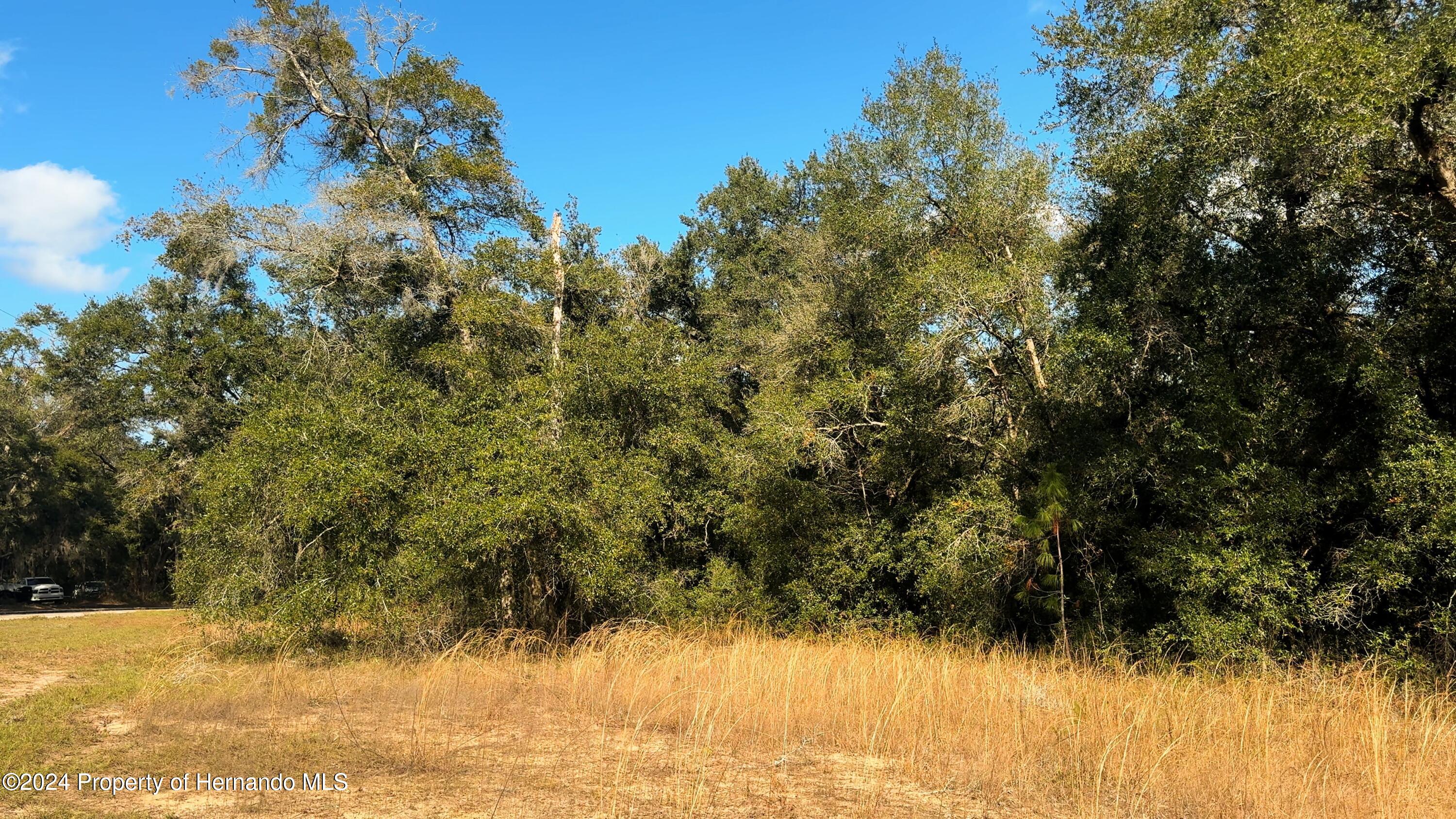 Nature Coast Boulevard, Brooksville, Florida image 10