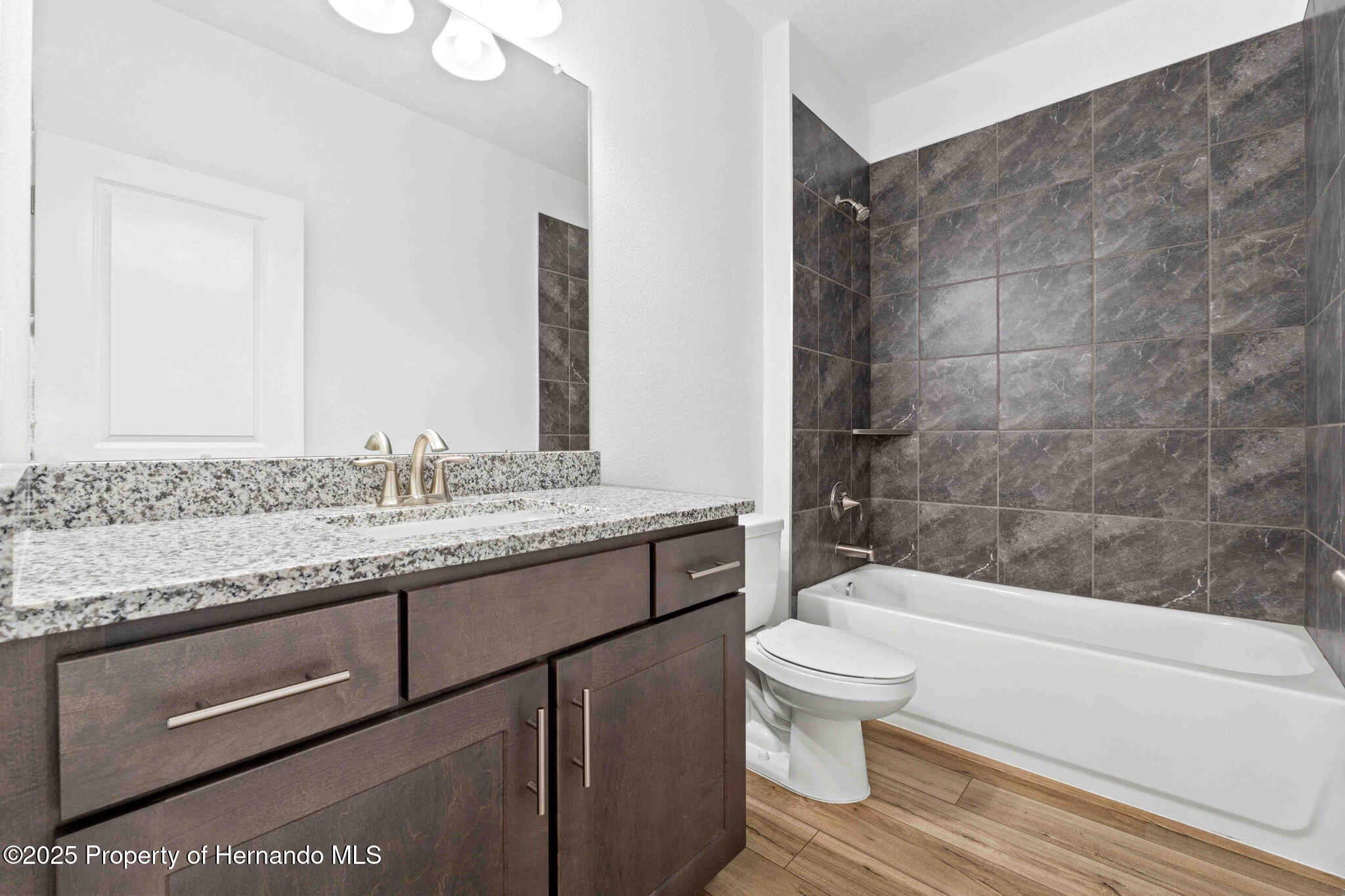 13065 Tinamou Avenue, Brooksville, Florida image 26