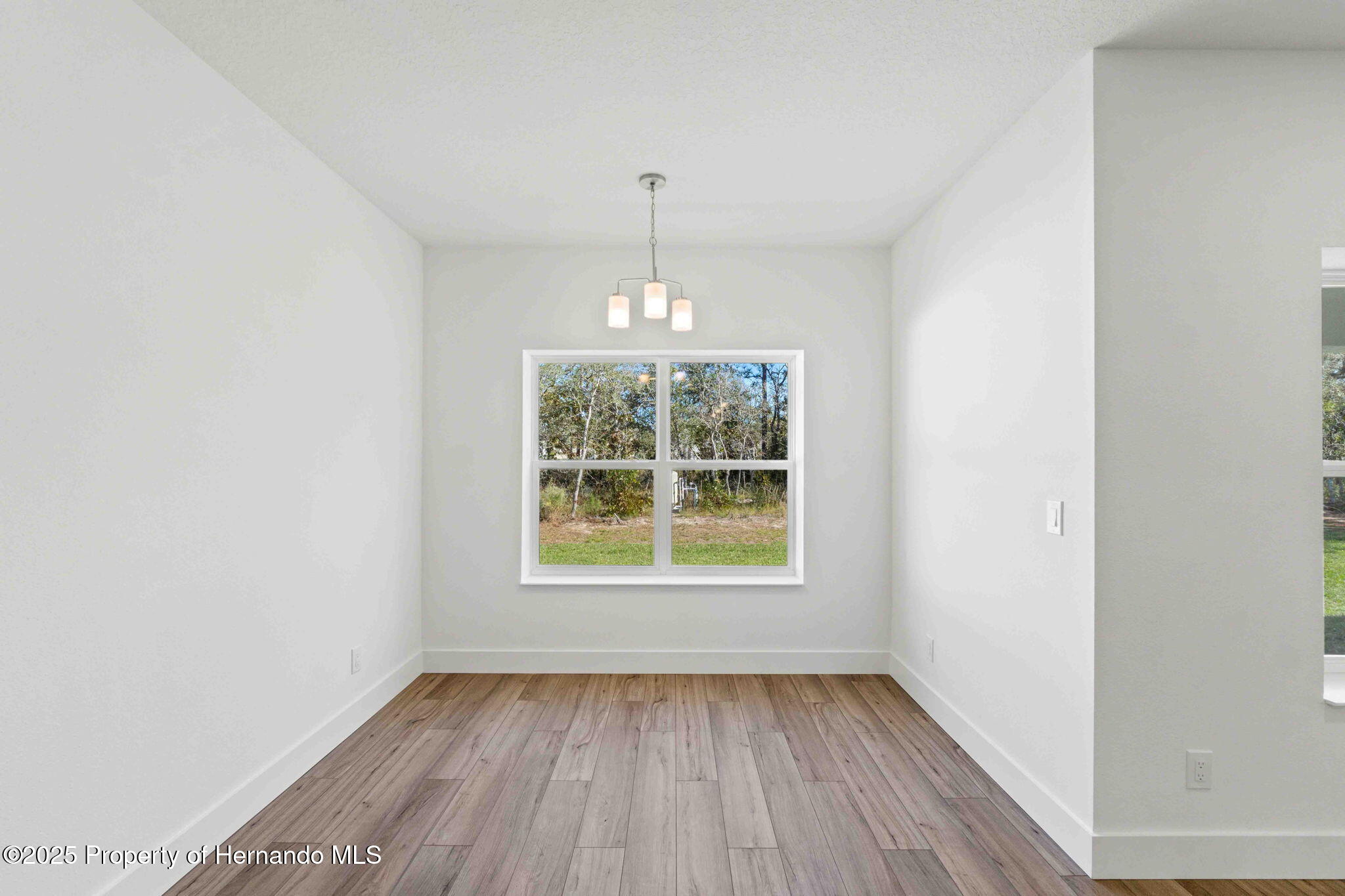 13065 Tinamou Avenue, Brooksville, Florida image 18