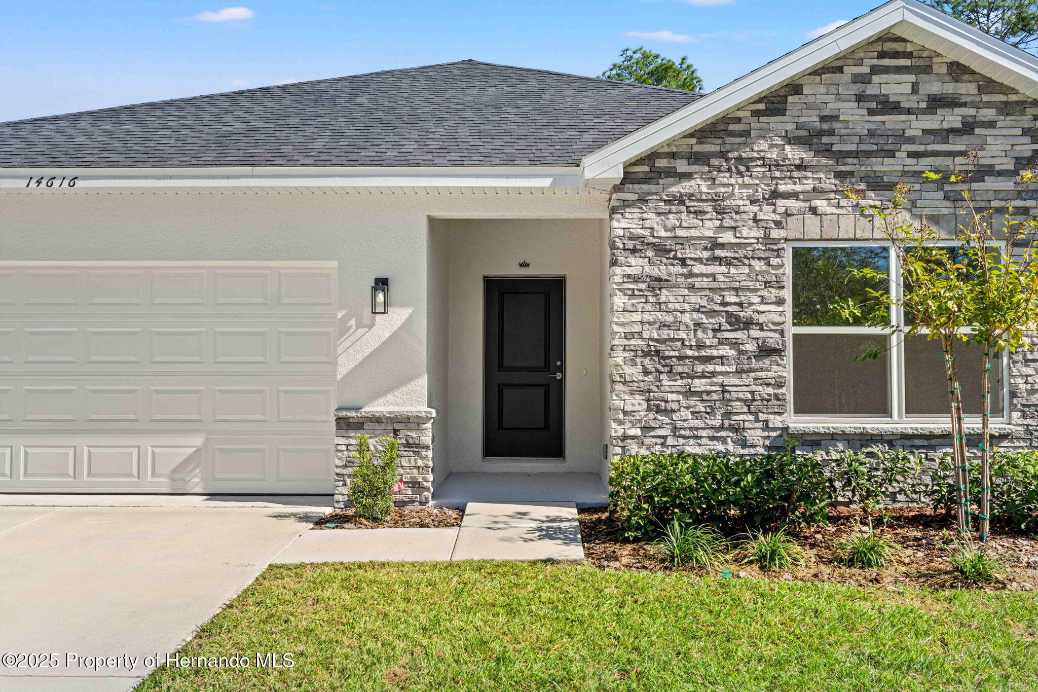 13065 Tinamou Avenue, Brooksville, Florida image 8