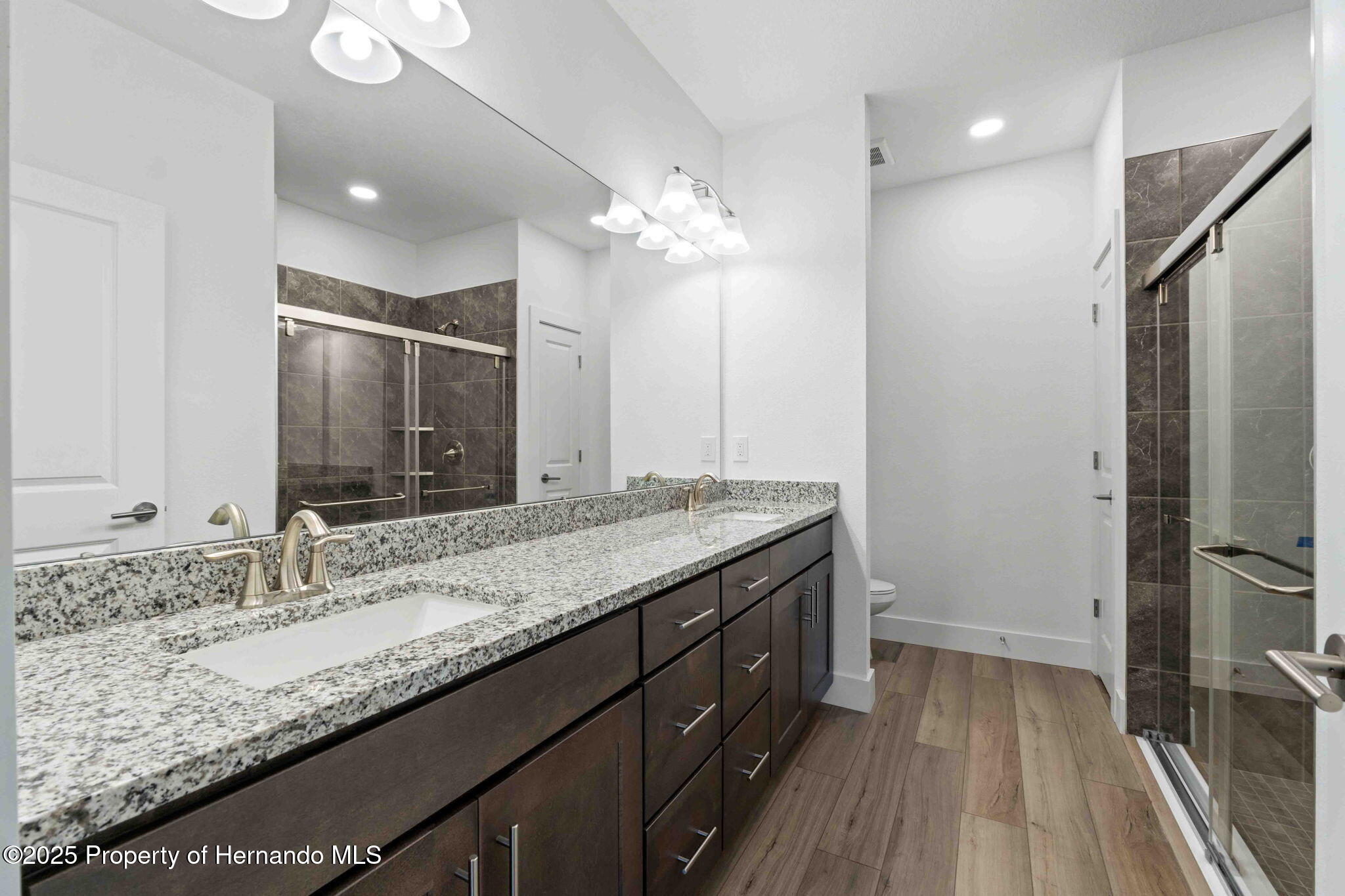 13065 Tinamou Avenue, Brooksville, Florida image 32
