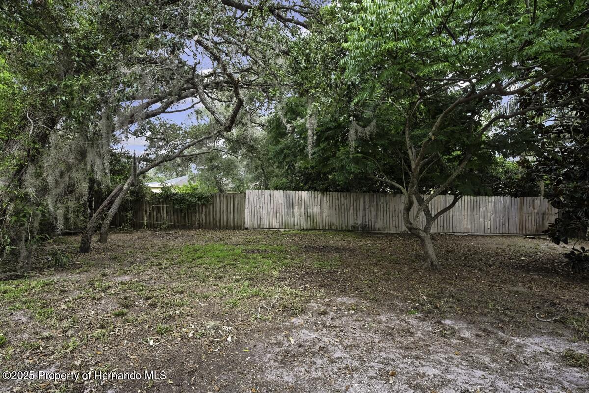 13406 Banyan Road, Spring Hill, Florida image 3