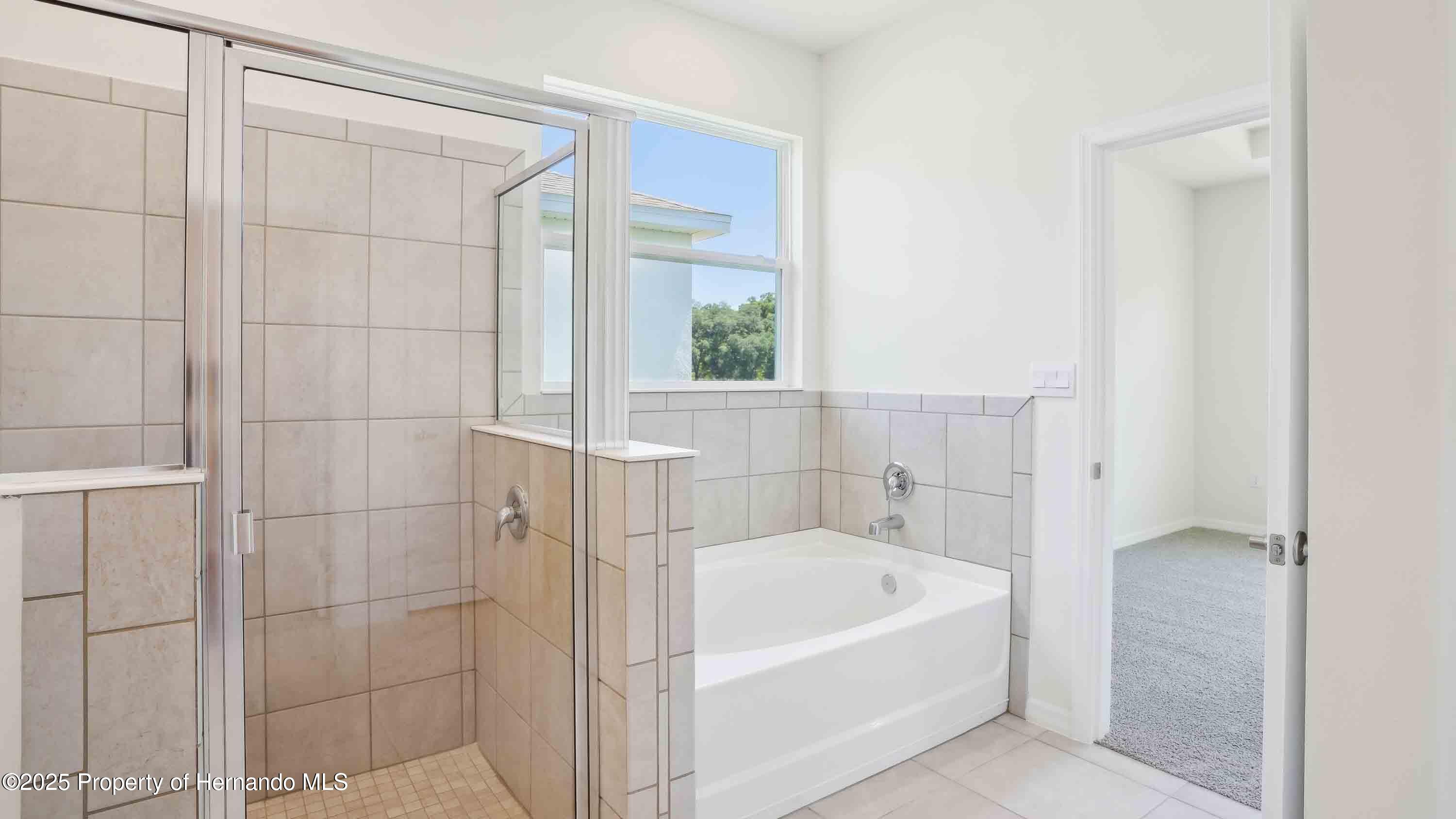 11296 Curio Drive, Brooksville, Florida image 21