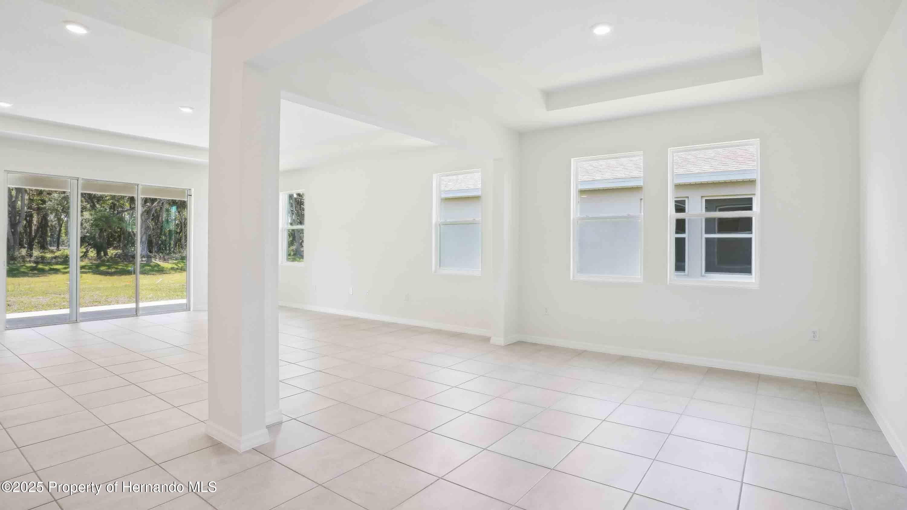 11296 Curio Drive, Brooksville, Florida image 13