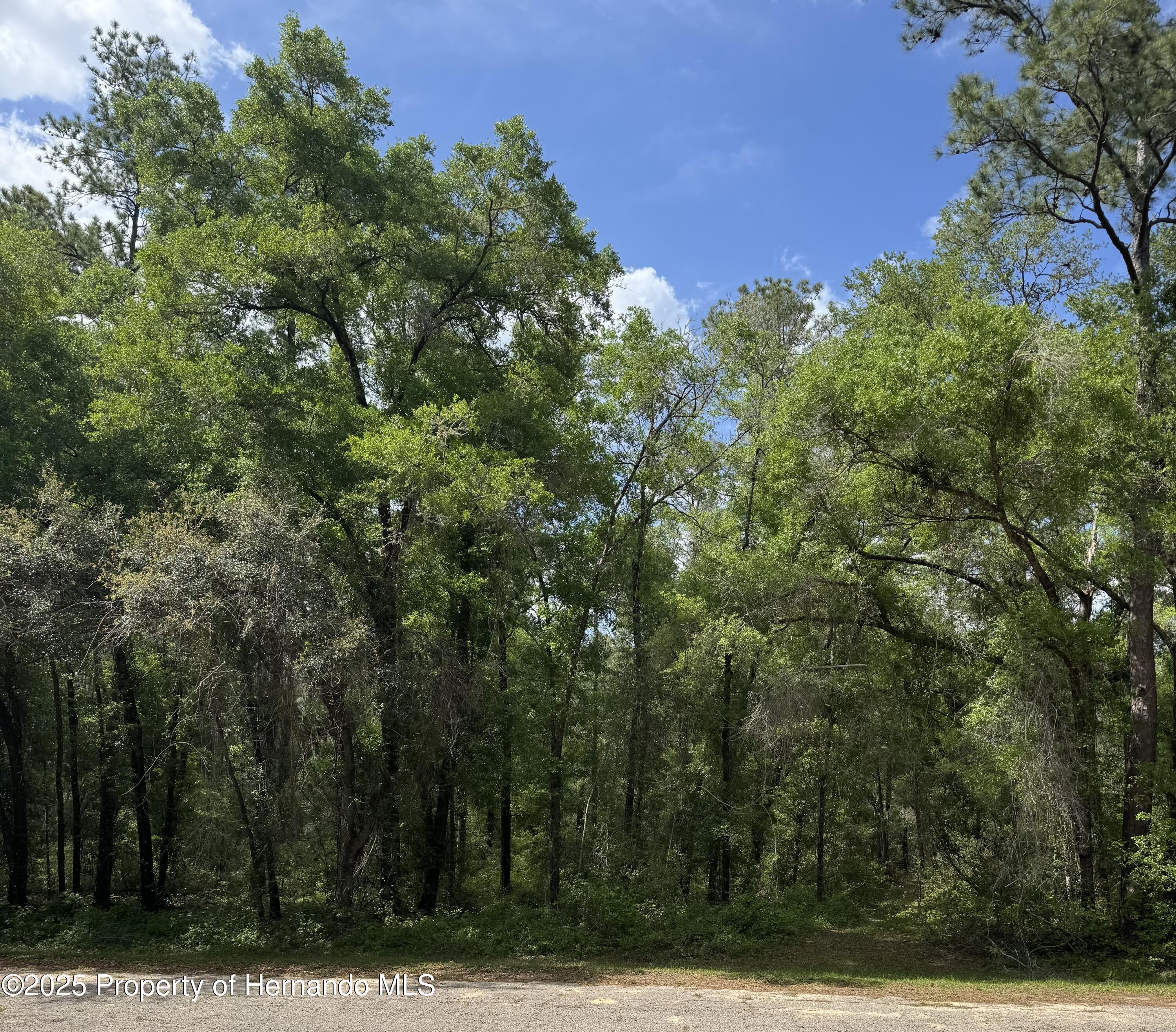 455 E Avondale Drive, Dunnellon, Florida image 2